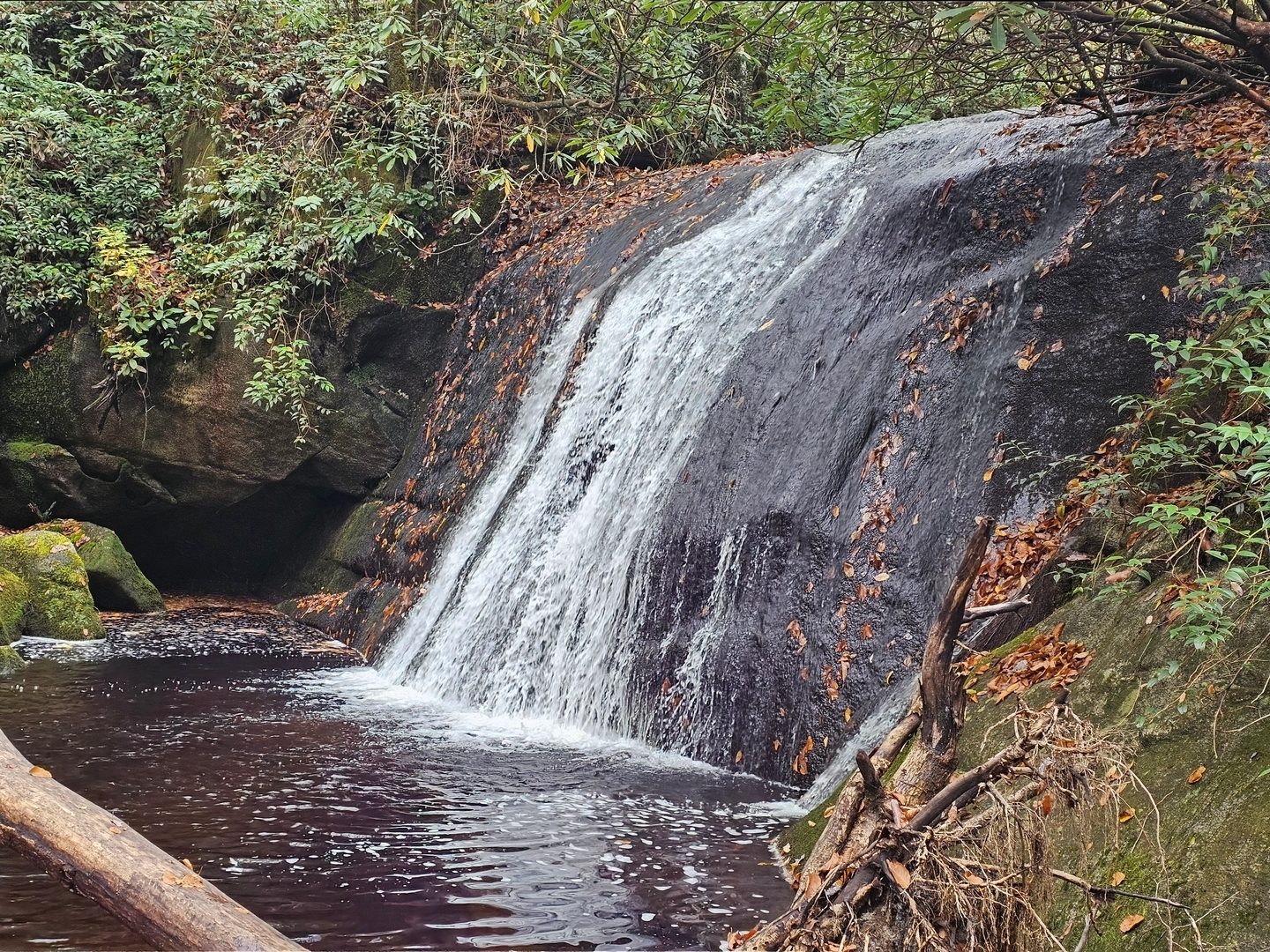Our fourth falls was Frolictown Falls on a creek of the same name.  It is 15-feet high and requires a short scramble down an embankment.