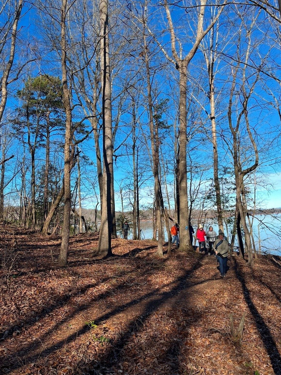 Some of this hike is along the northern shoreline of Tugaloo Park.