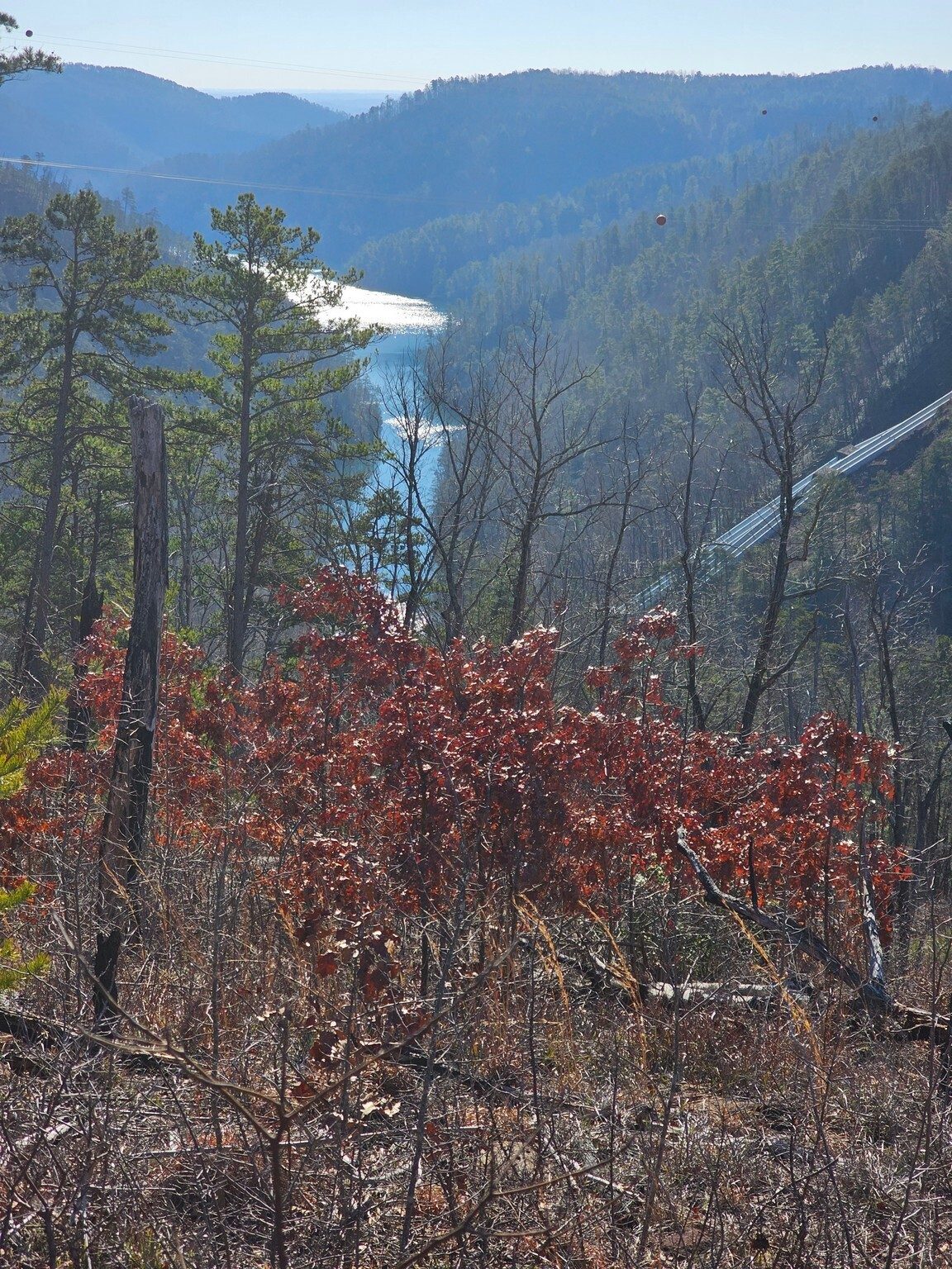 The always scenic view from High Bluff down the gorge toward Bridal Veil Falls