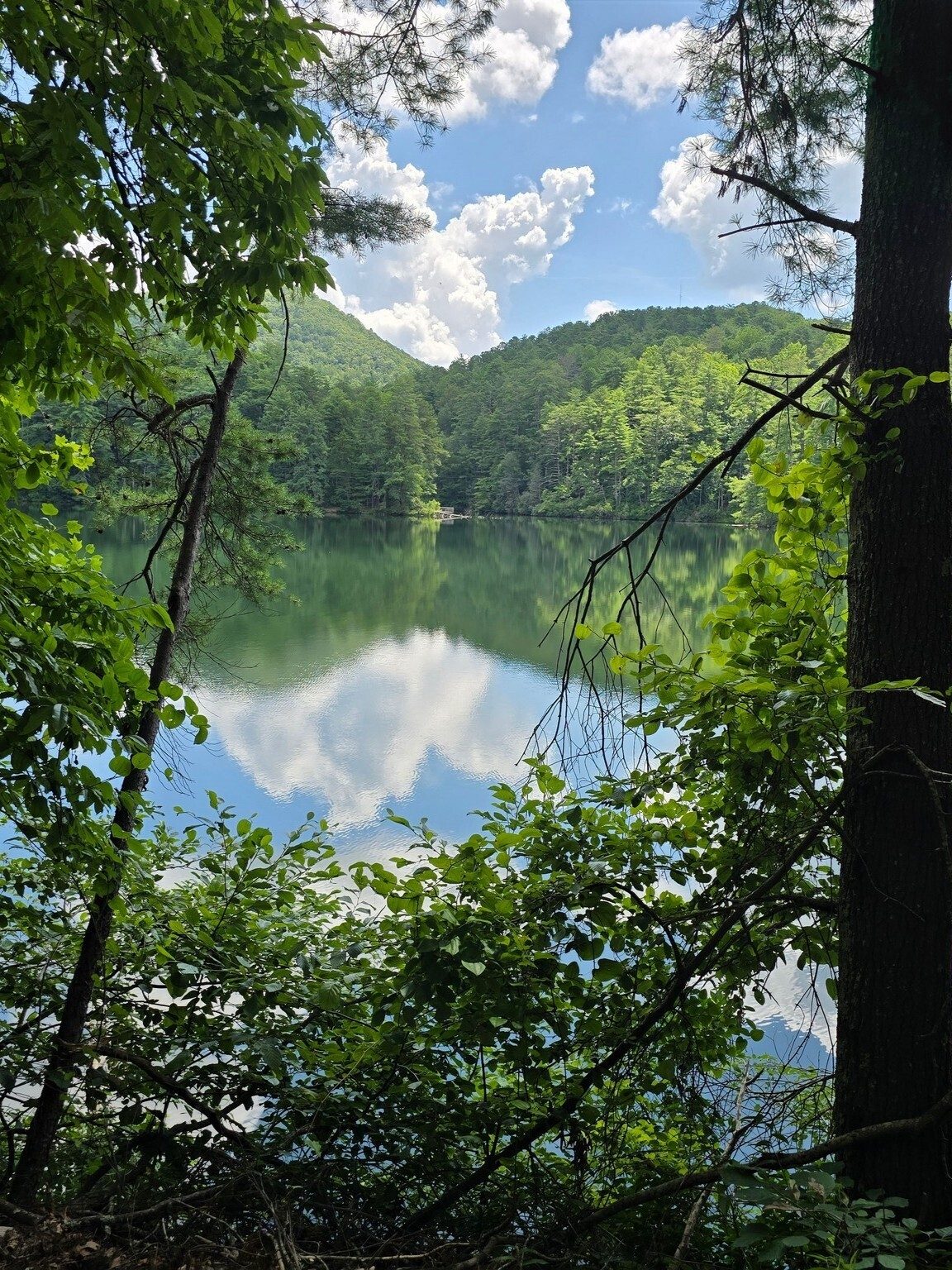 This was a good day for lake pictures with a nice reflection.   Photo by Jane Voss.