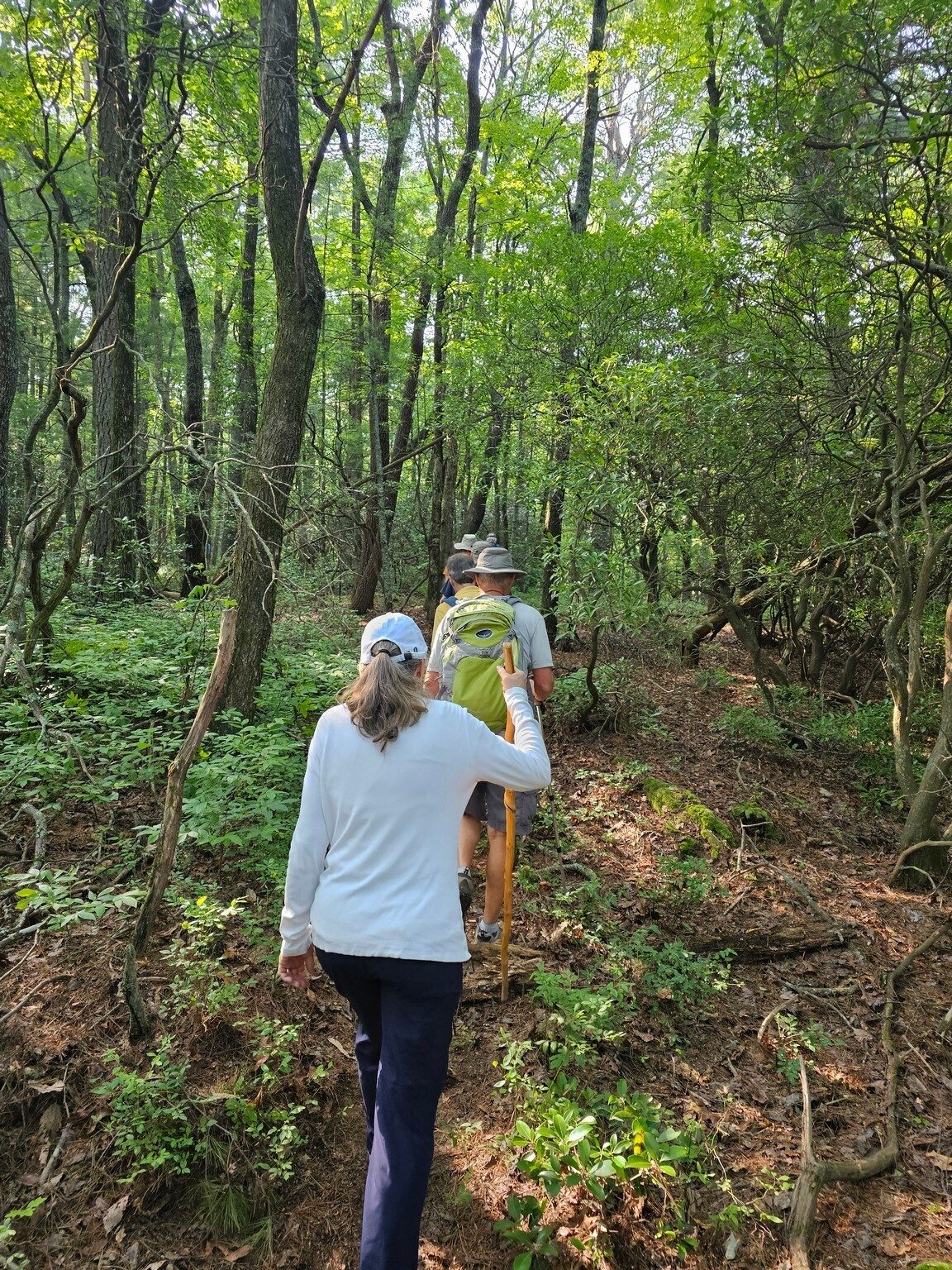 A nice, short connecting trail to the Pigeon Mtn. Trail and the pavillion.