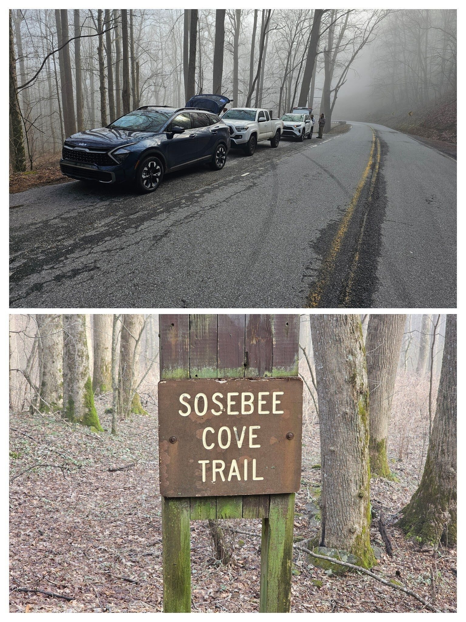 A bit foggy as we got started at Sosebee Cove.
