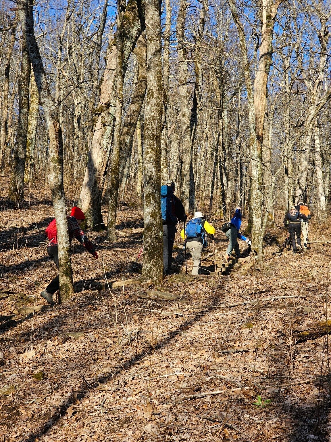 An easy climb up Wildcat Mountain compared to what we will hike later in the day.