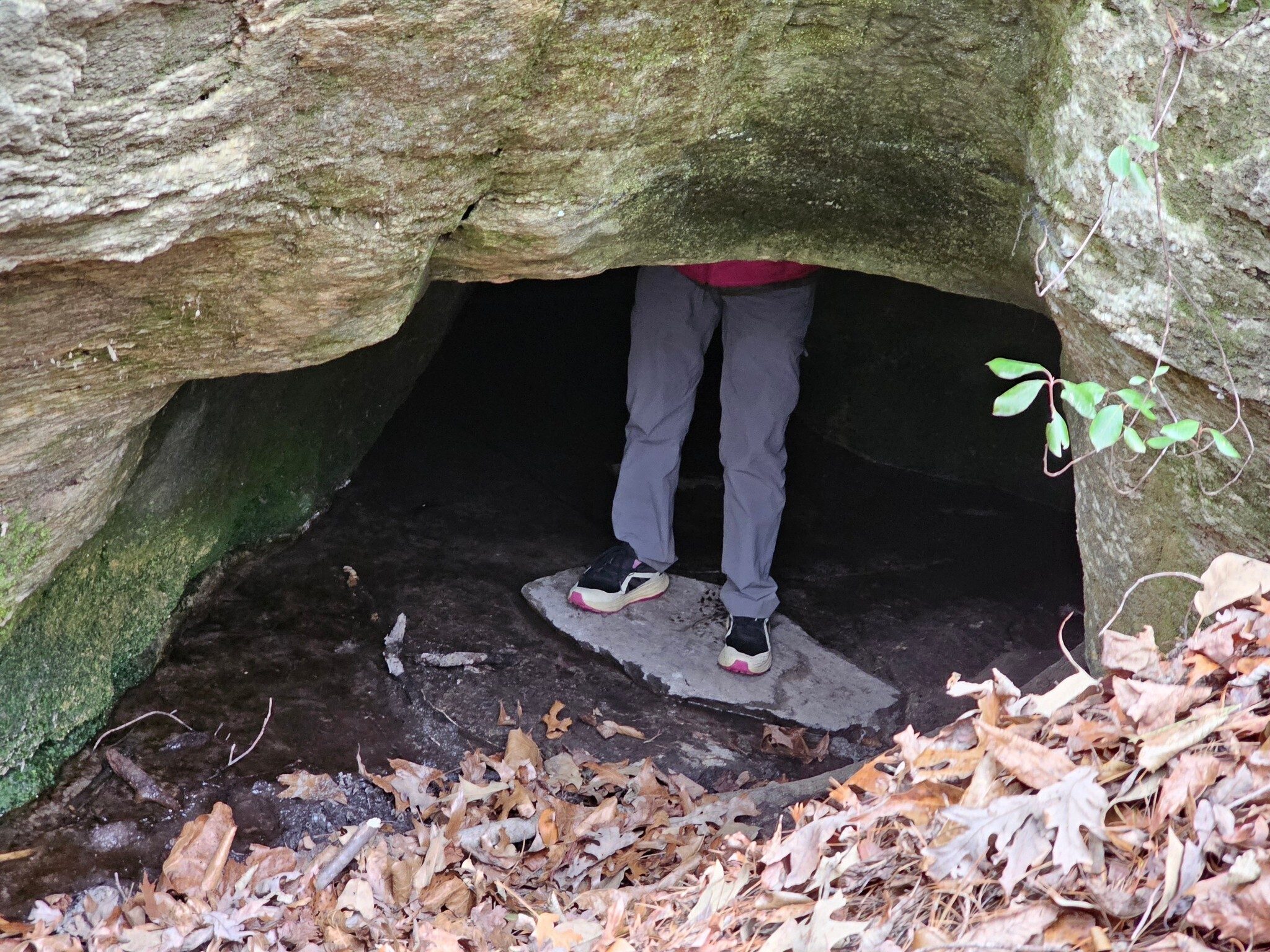 Pam standing up in Roman's Den . . . short people only!