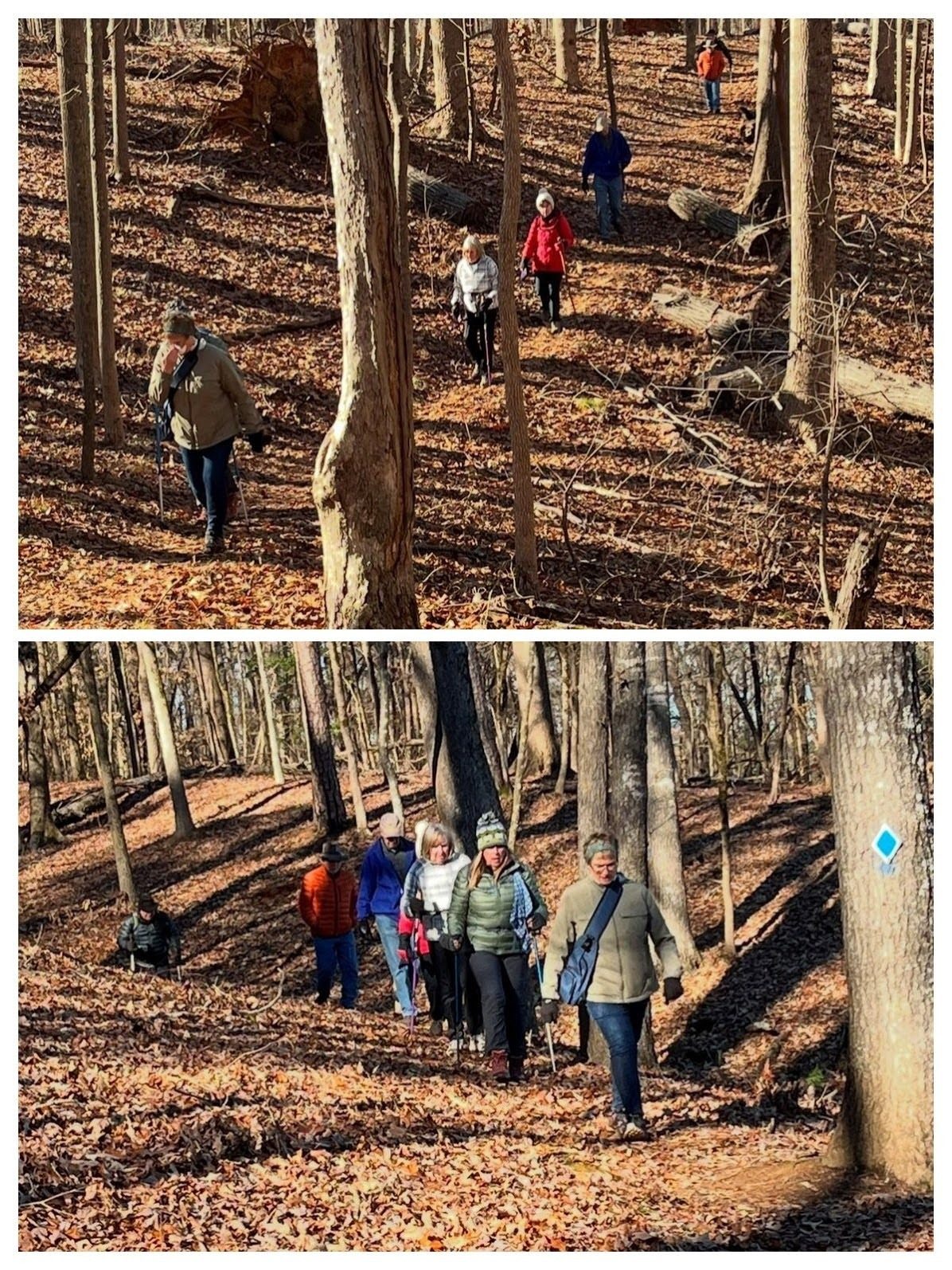 Shall we sing, "a hiking we will go."