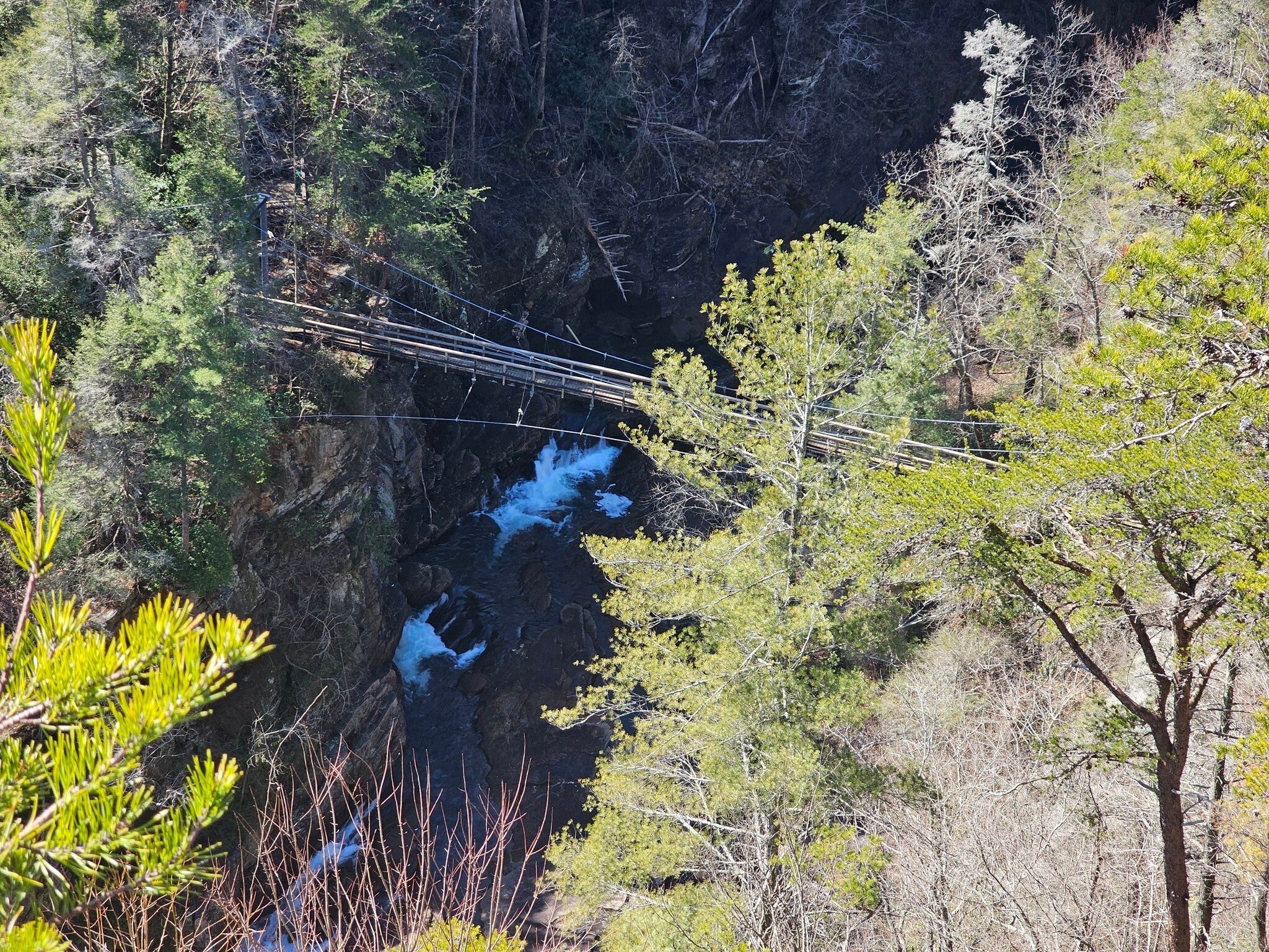 A view from Overlook 1A of the suspension bridge at the bottom of the gorge.