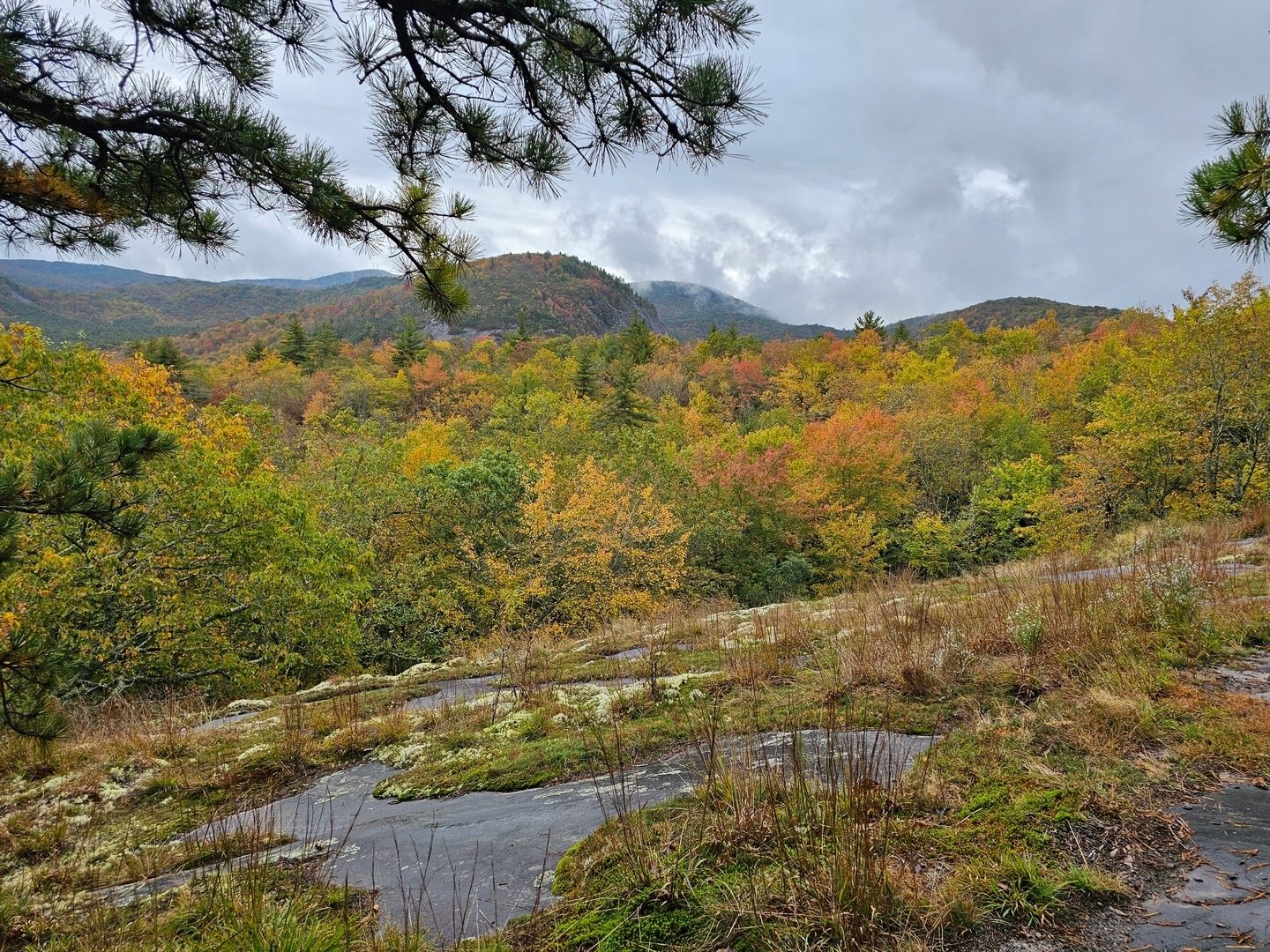 Passing by an opening in the treeline near Salt Rock Overlook gave us our first sight of very nice, but unexpected fall colors.