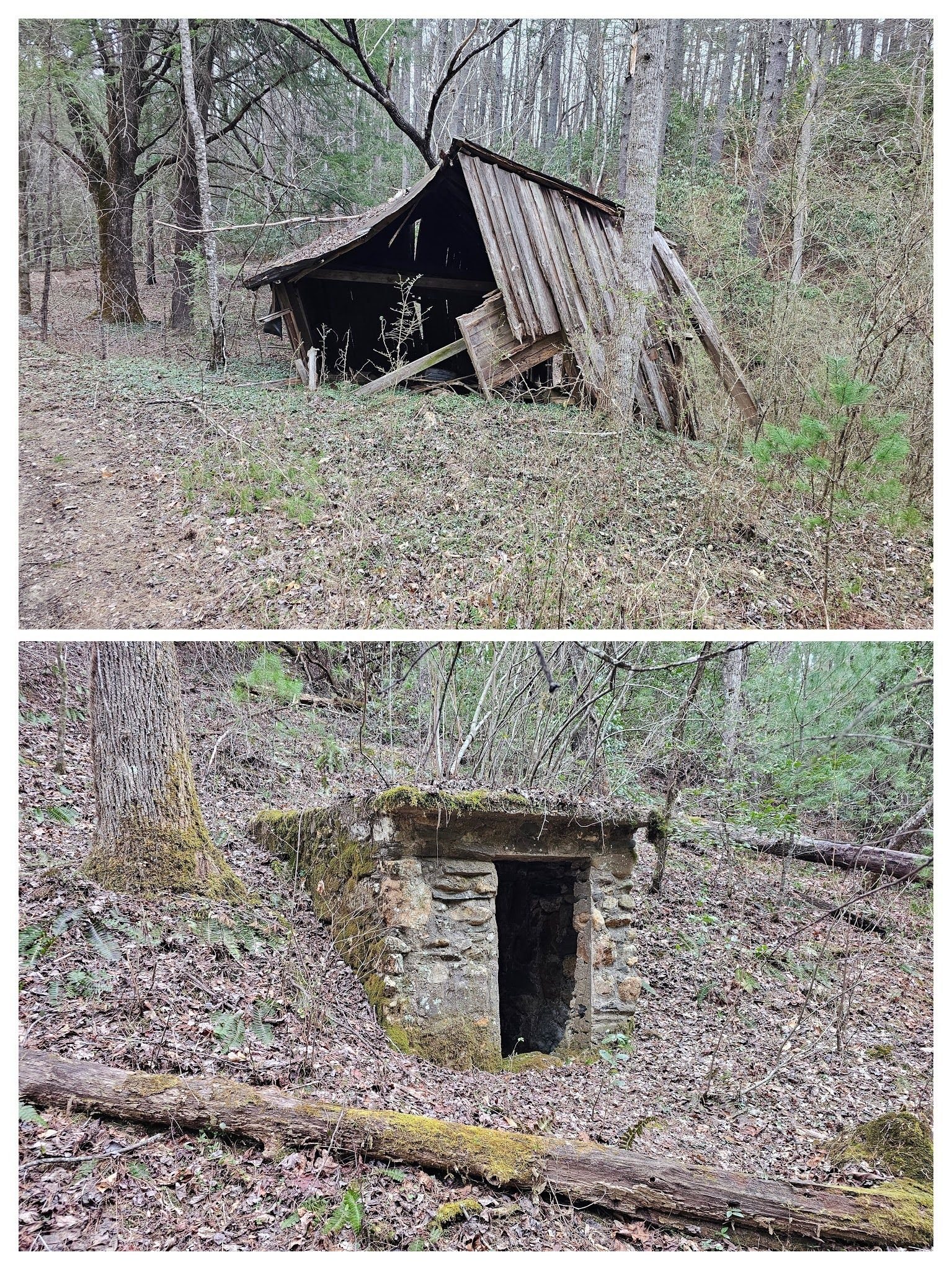 Remnants of an old homestead as we finished the hike.  Good job everyone!