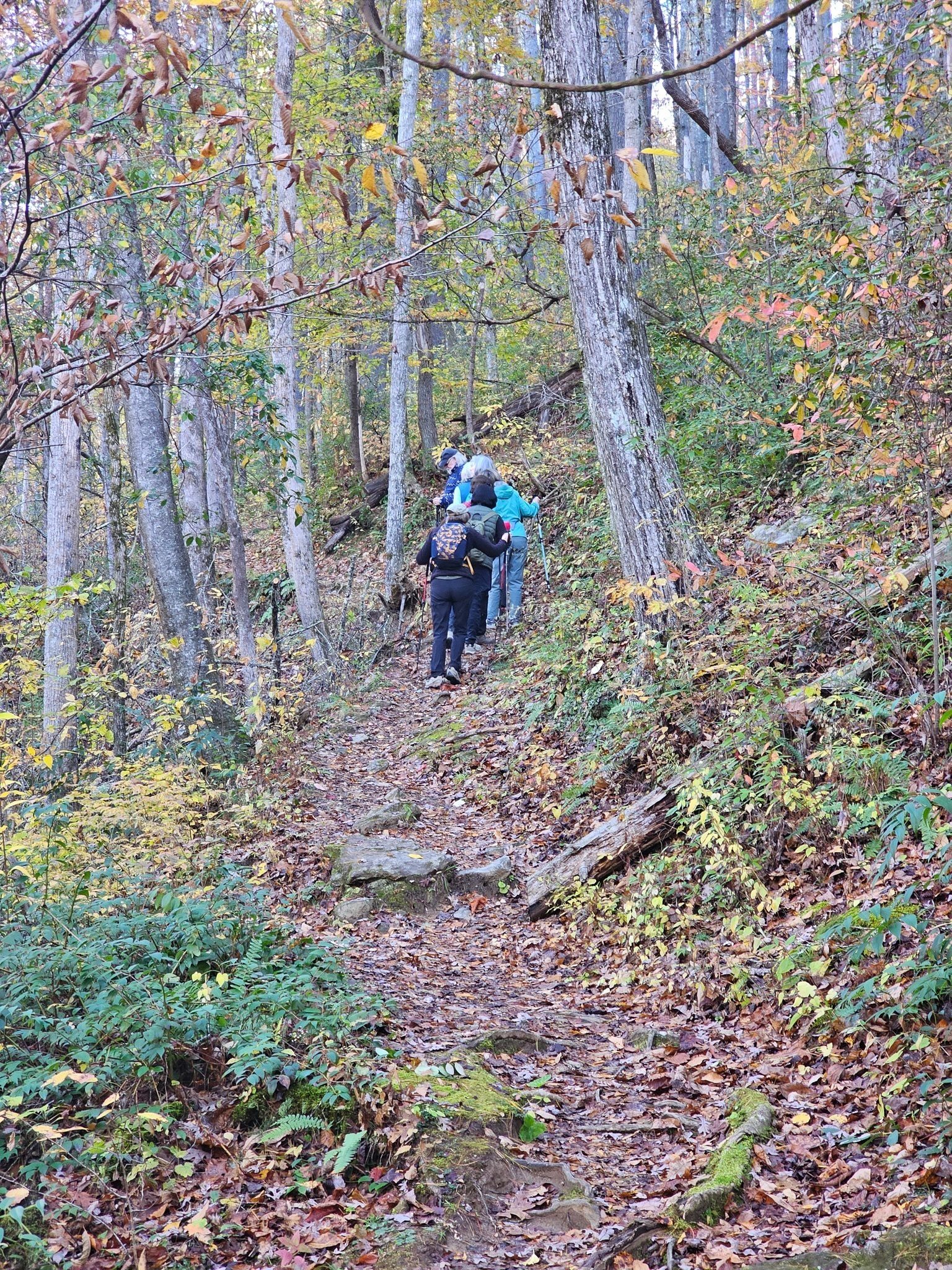 The climb up is not really too steep.