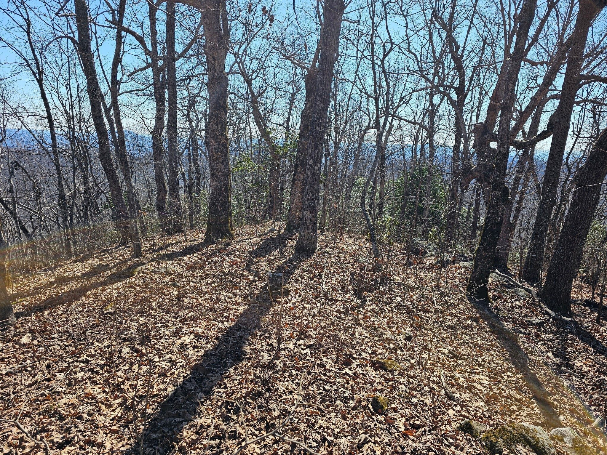 Somewhat of a view from Whiteoak Stomp.