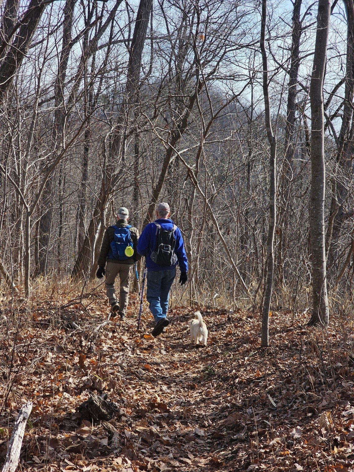 A first view of Tamassee Knob as we head upward.