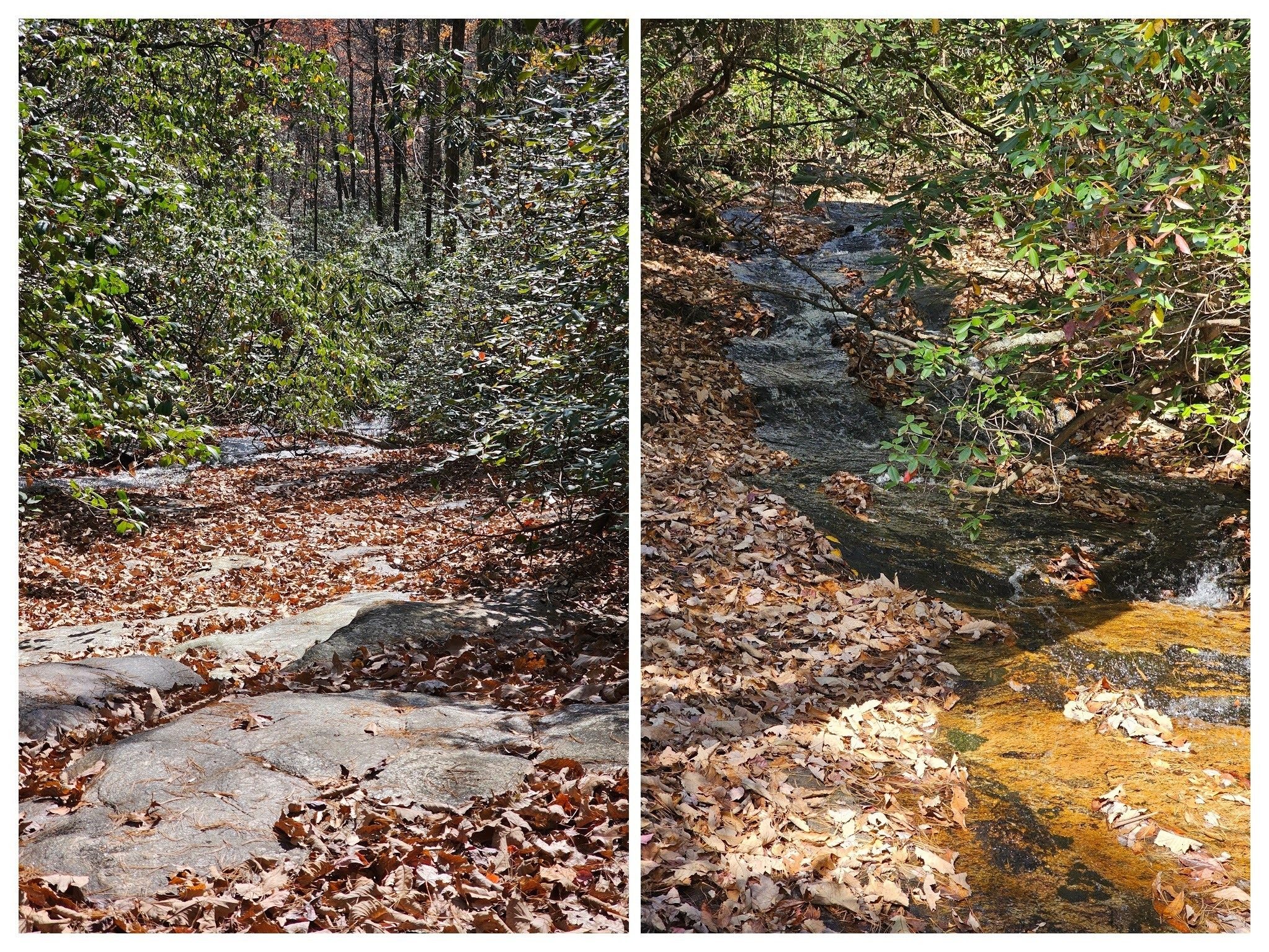 Down (L) and up (R) West Fork of Crane Creek at Little Miuka Falls.  Where's the water?