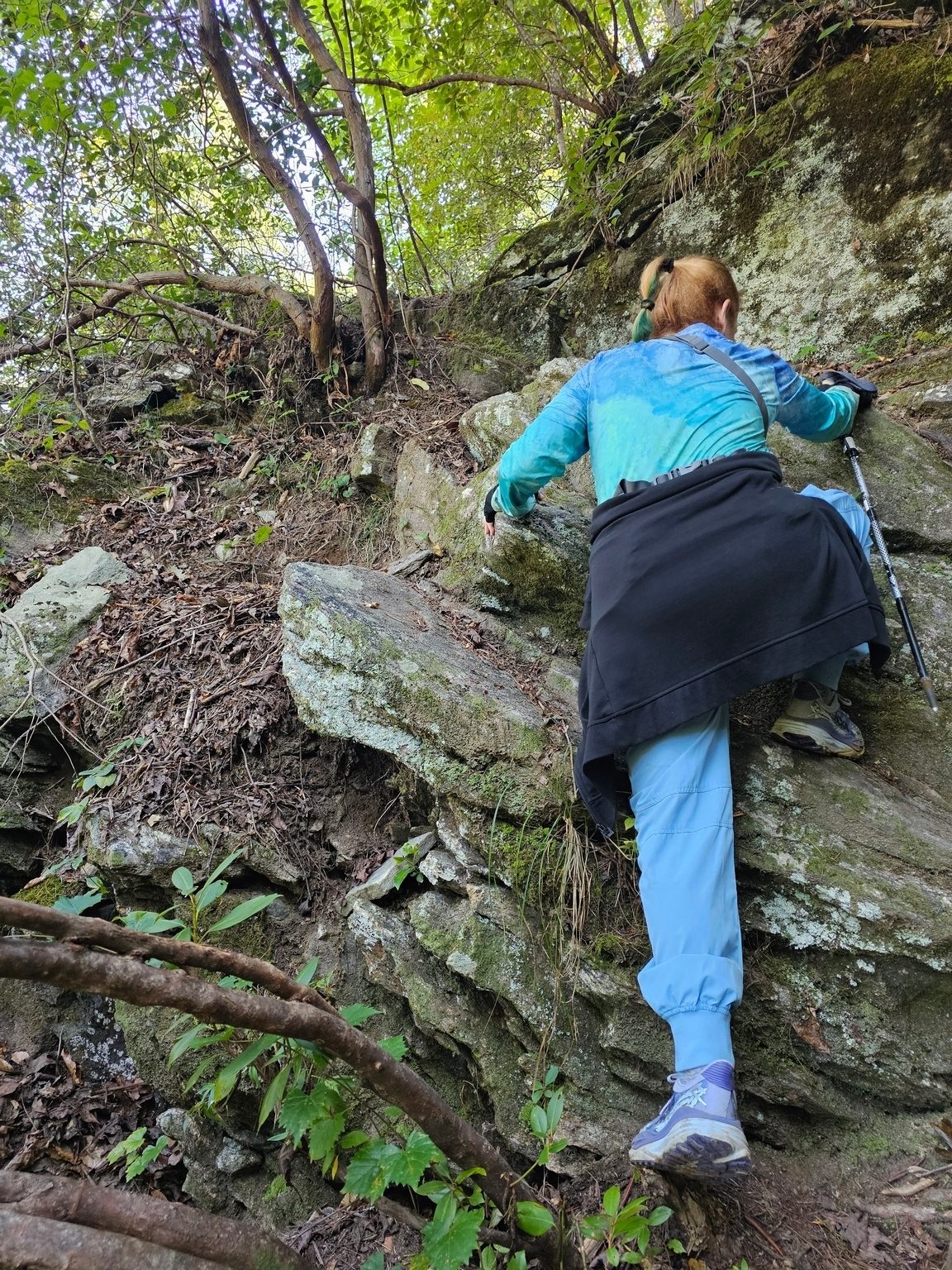 Perhaps being able to get to Homer Falls is as satisfying as seeing it.  Jane Voss (shown here), Edwin, Heather and I are challenged in our climbing abilities.