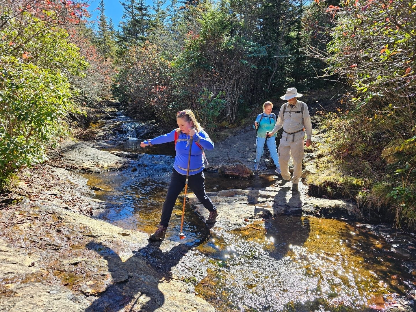 Crossing a branch feeding Flat Laurel Creek as we head to Sam Knob.