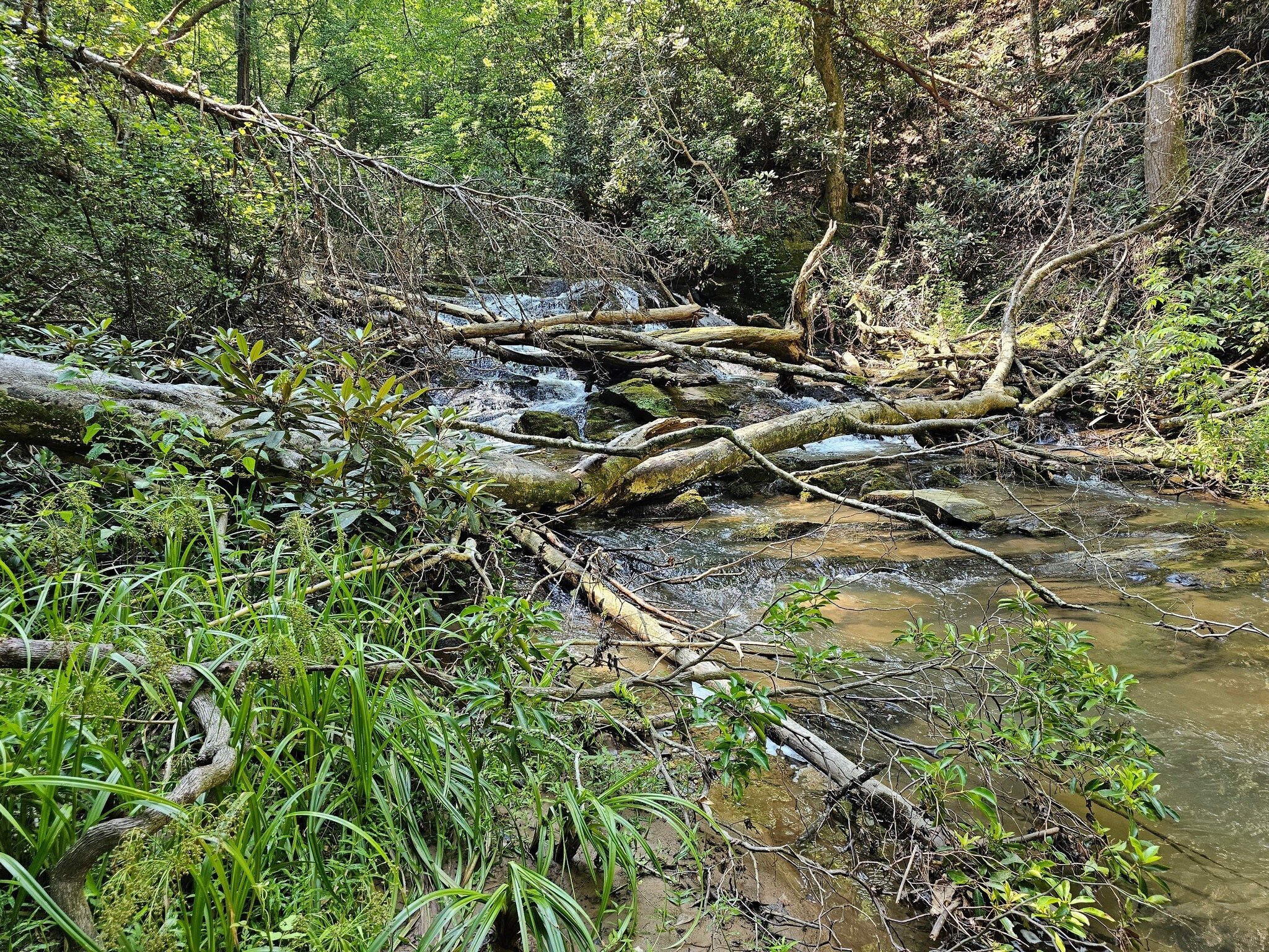This is Grand Shoals, but well covered by accumulated blowdown debris.