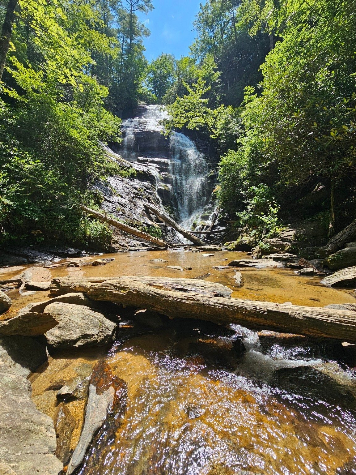 A long shot of King Creek Falls and Betty, yes, the logs to get across the creek are still there.