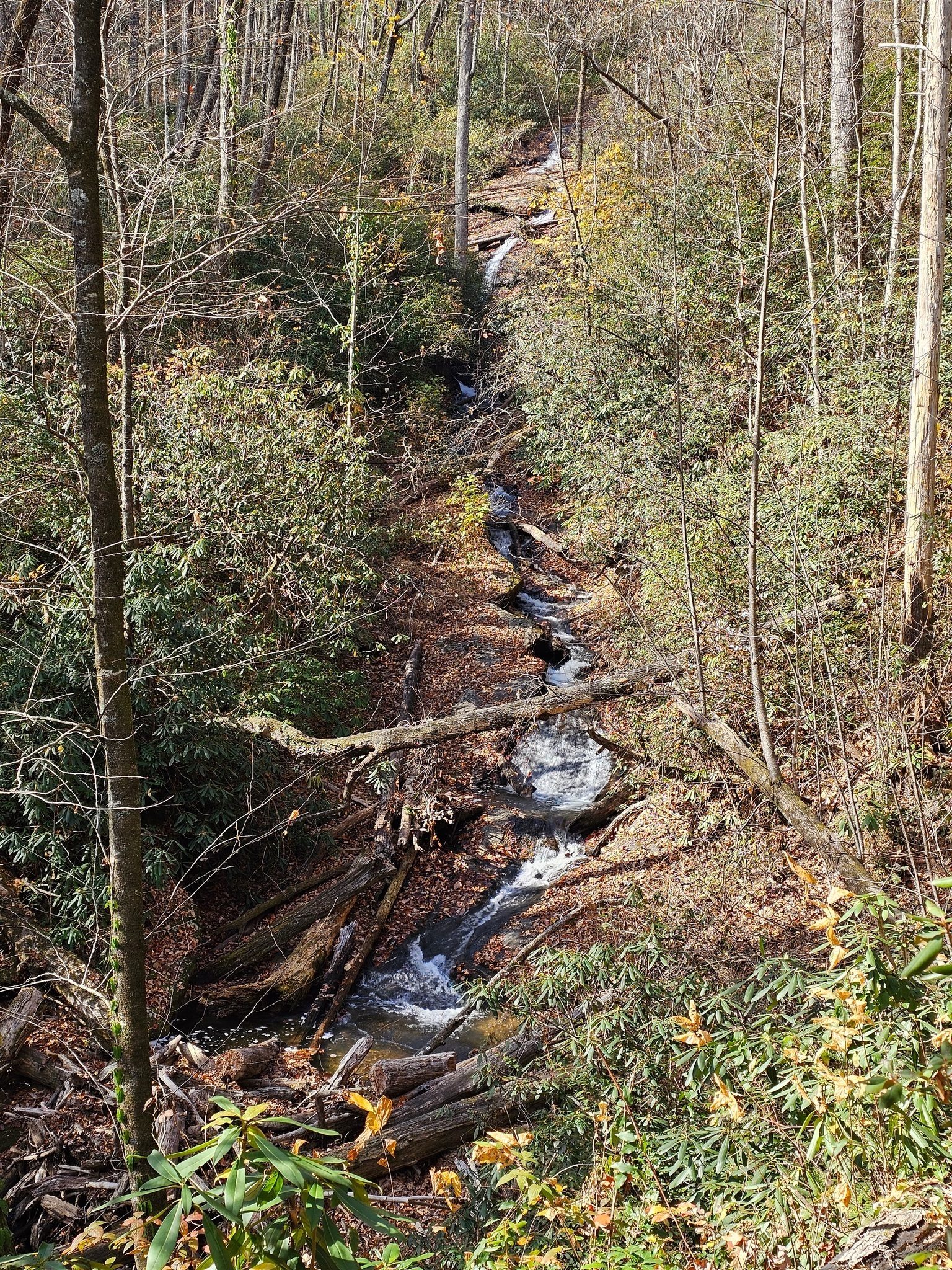 A big scramble required to get not all that close to Secret Falls.