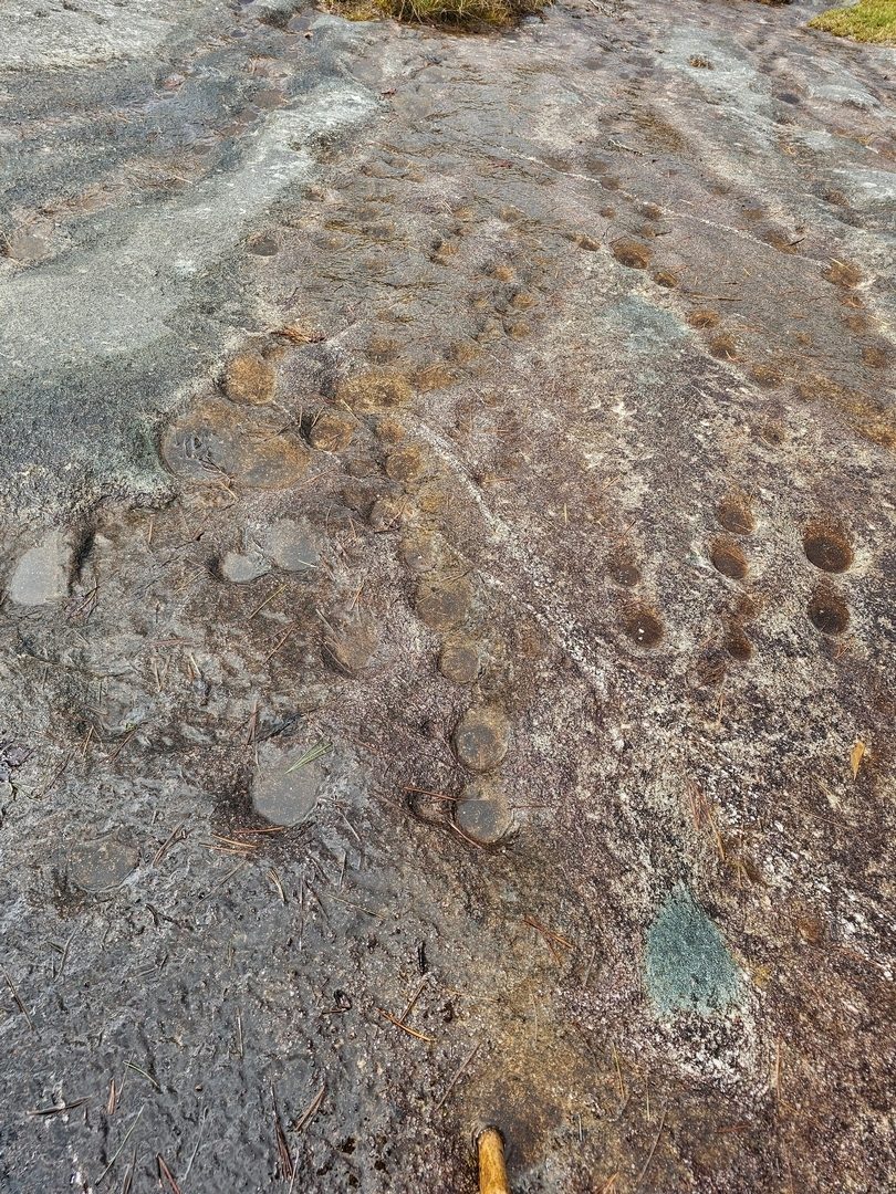 We found these panholes in the rock face of Little Green Mtn.  "These depressions are formed by a combination of chemical and biological weathering."