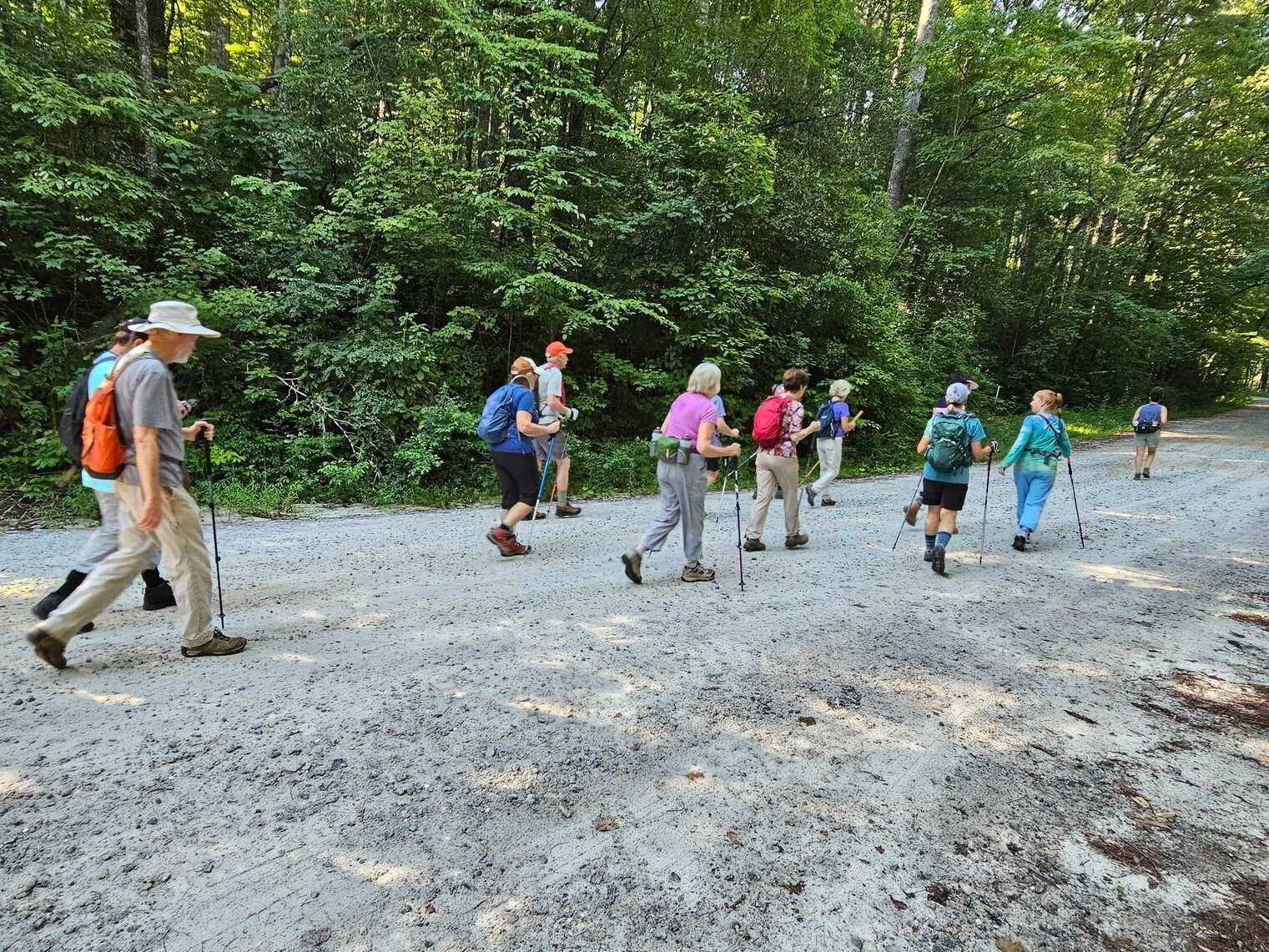 Headed down Burrell's Ford Road to the Foothills Trail.