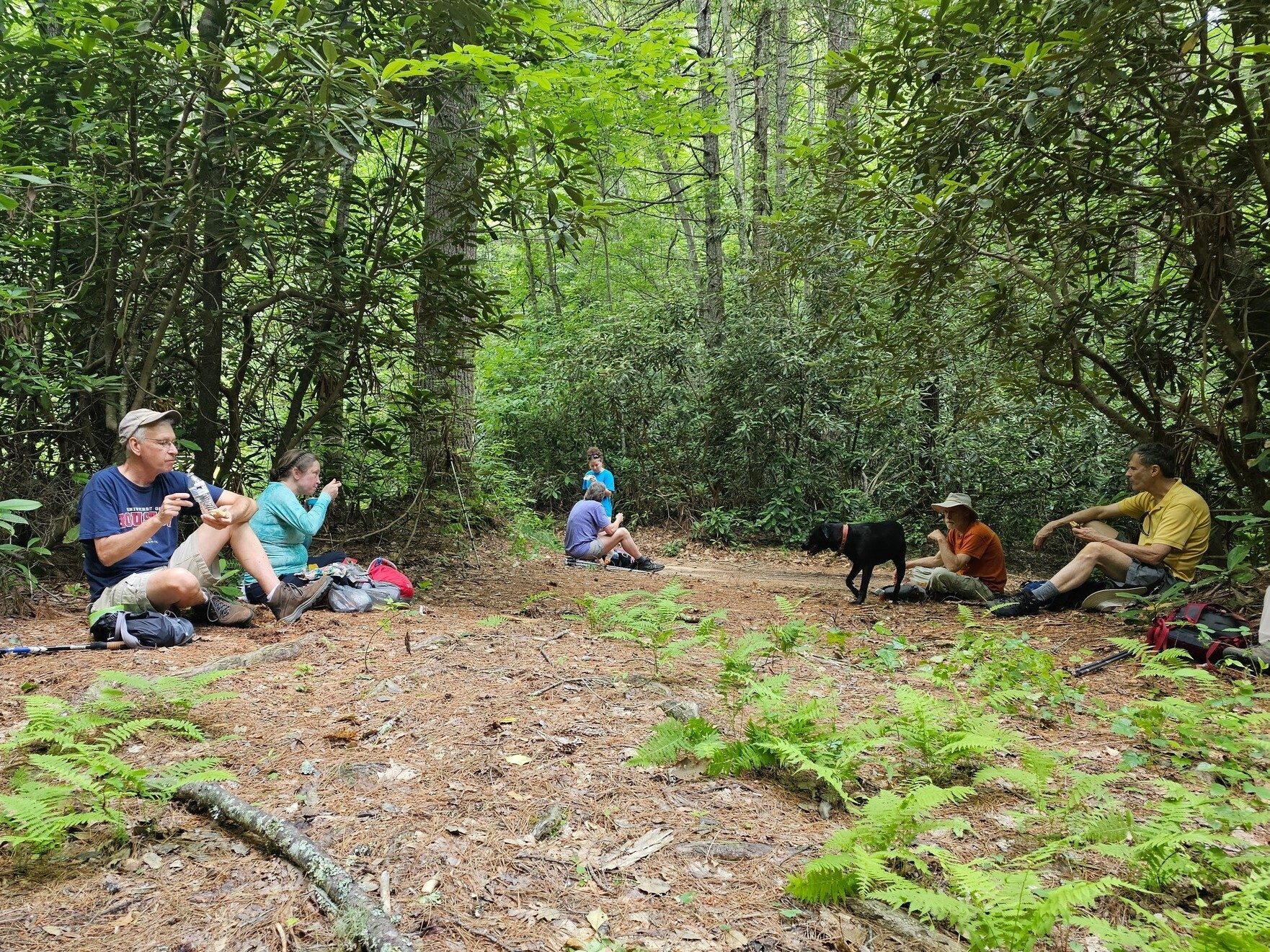 A short break for lunch just off FS 2.