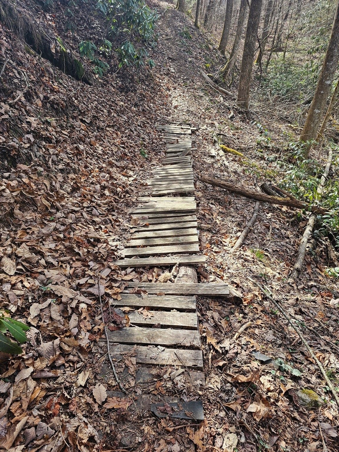 More evidence of mountain bike use with the narrow bridge across a drainage swale.