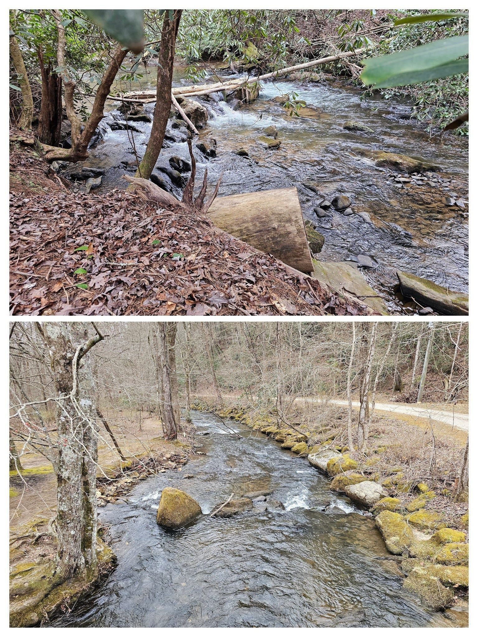 Following along Smith Creek on the first loop of the hike is always pleasant.