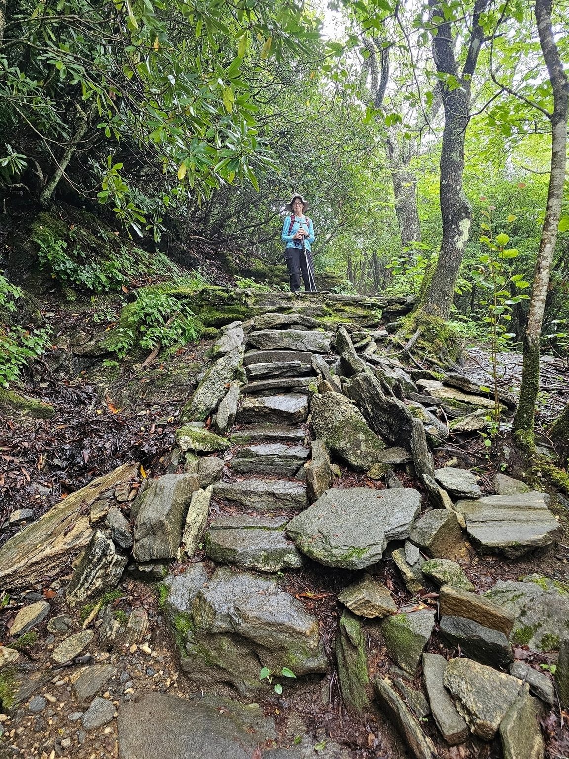 A nicely done set of rock steps to ease the climb.