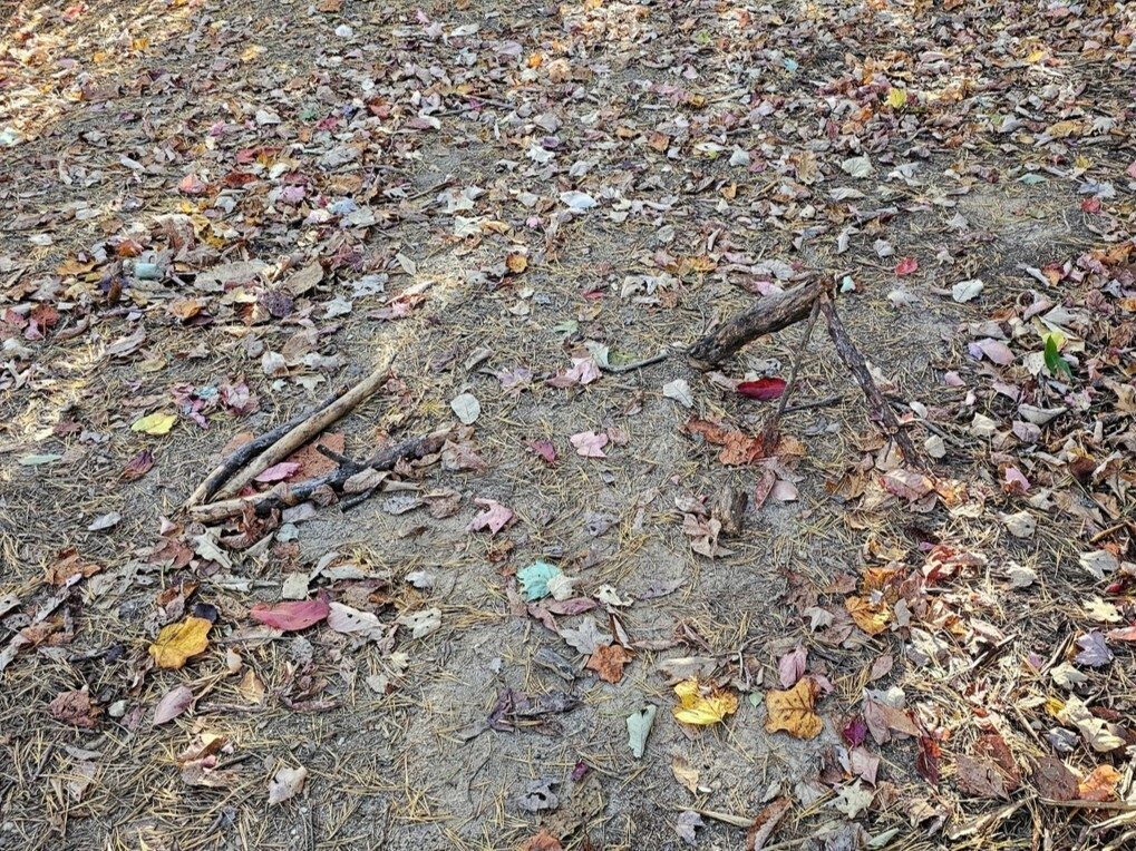 We turned right at these trail arrows to continue our climb to Pinnacle Knob.