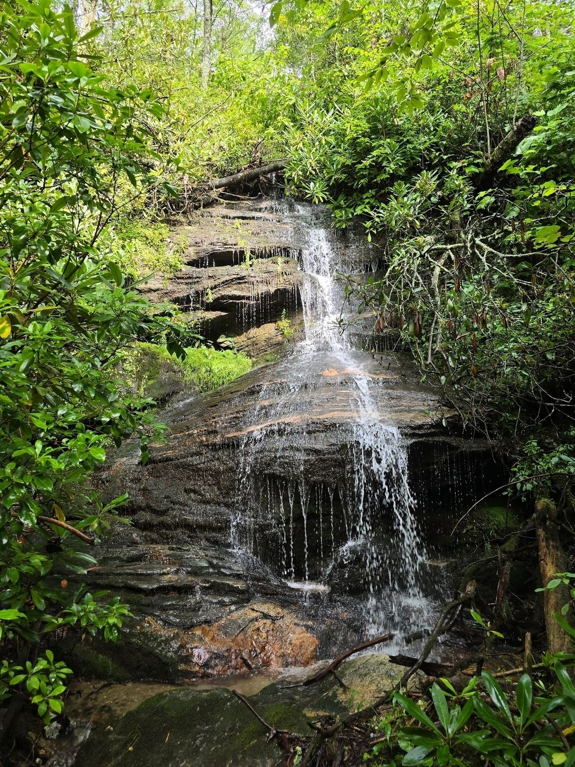 Bartram Falls was an unknown bonus for this hike.  While only 18 feet high, it was a nice sight.  Photo by Jane Voss