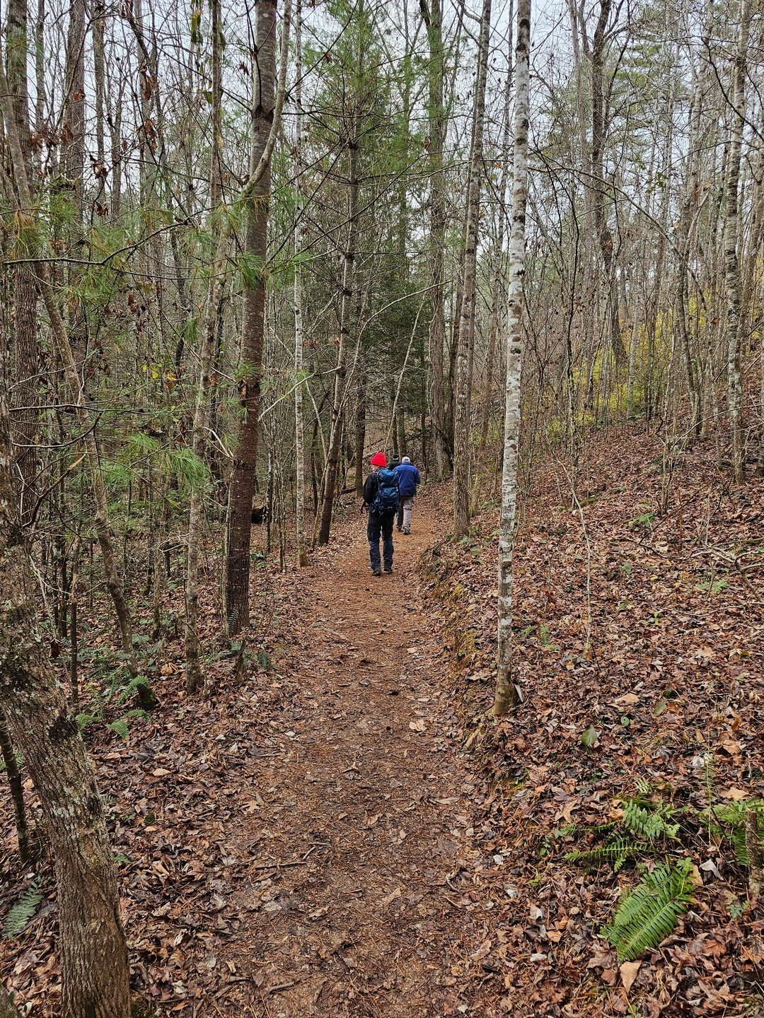 Again, a series of very nice trails.