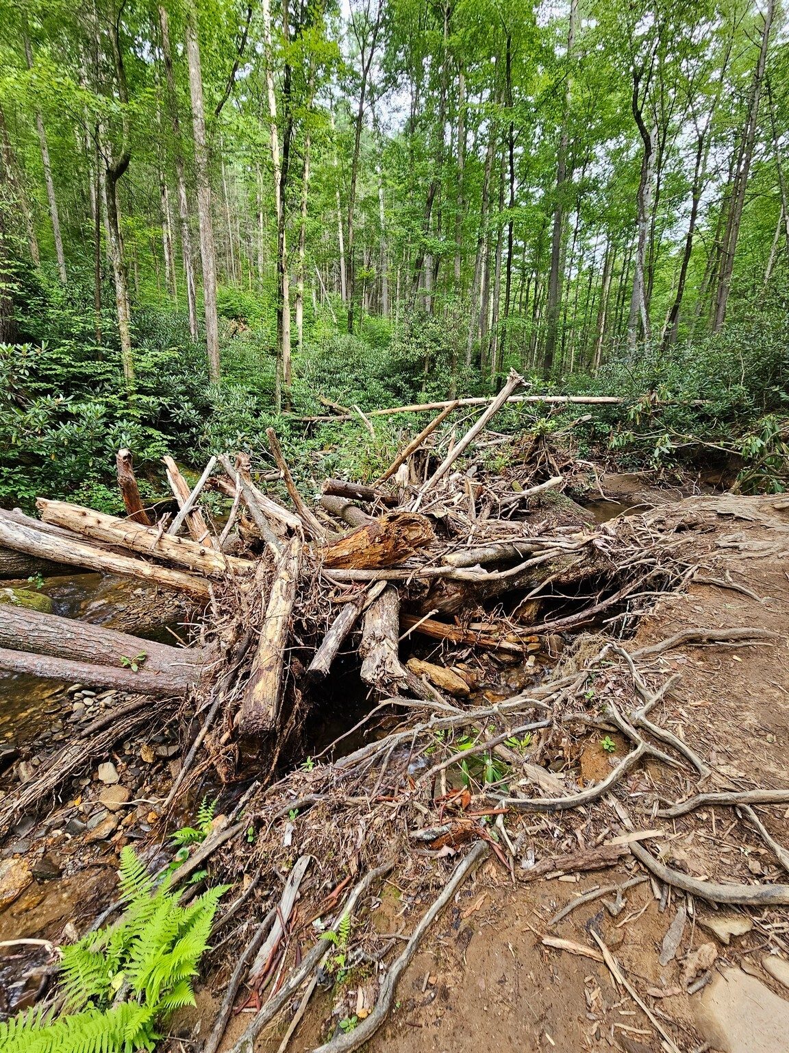 There were extensive blowdowns and accumulations of debris from past storms across and along Raven Cliff Creek.
