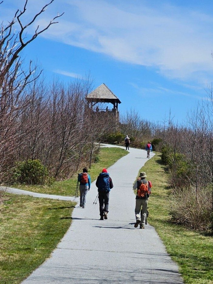 Just a short walk up to the tower from where the trail intersects this path.