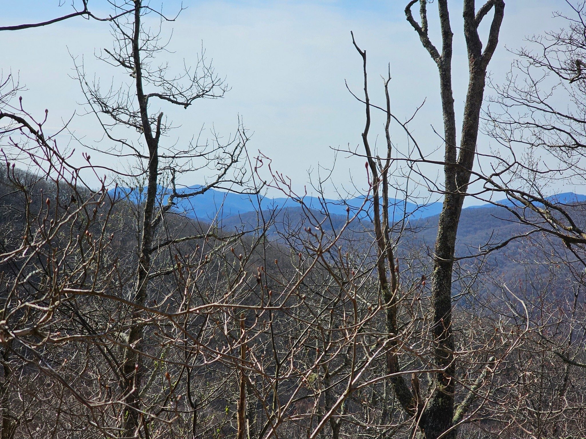 In most cases, the tree canopy has not even begun to bud out on this trail, but it does provide some glimpses of the surrounding mountains.