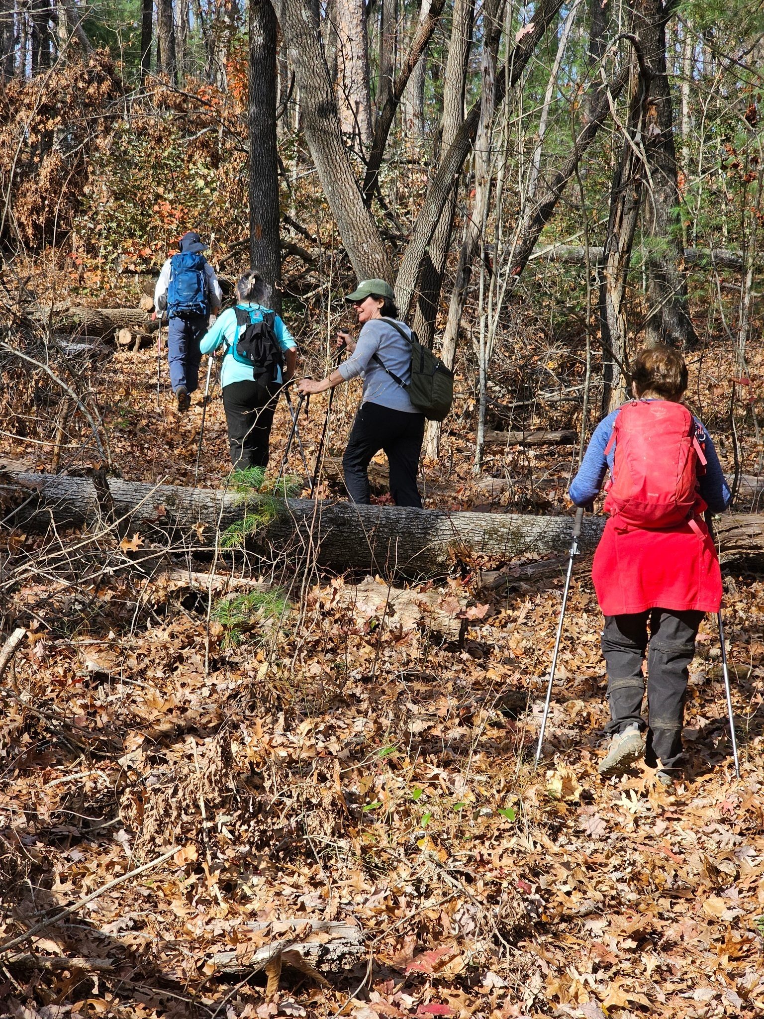 A not so steep, but long  hill on the way home.