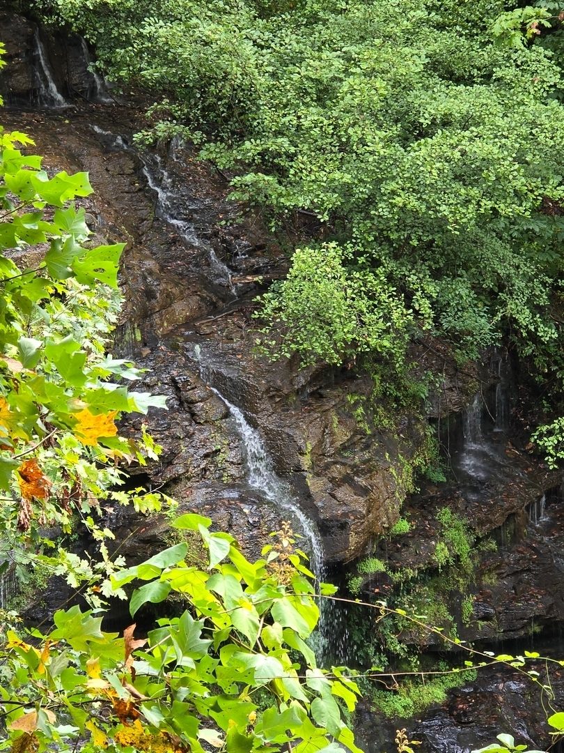 A view of Issaqueena Falls from the overlook.