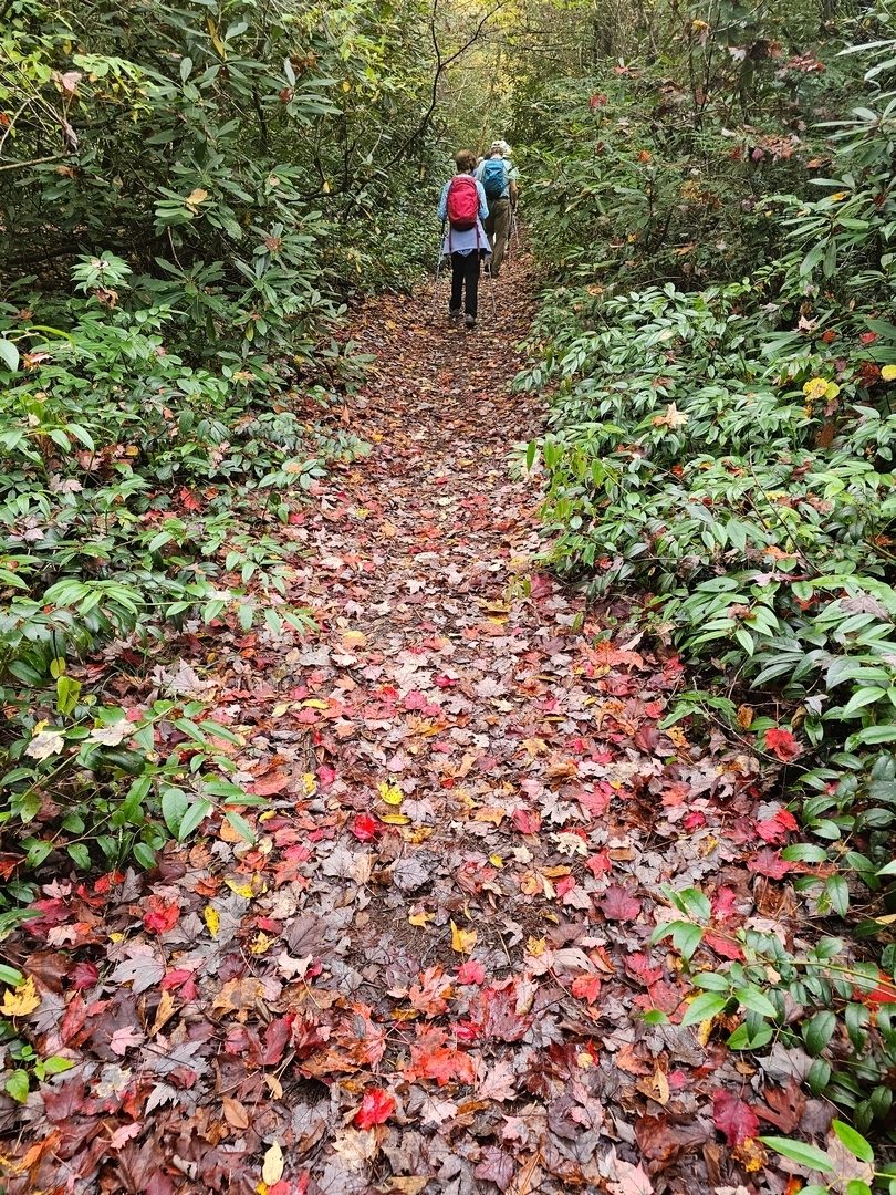 Looks like Jenny is "off to see the wizard," but on this carpet of red maple leaves.