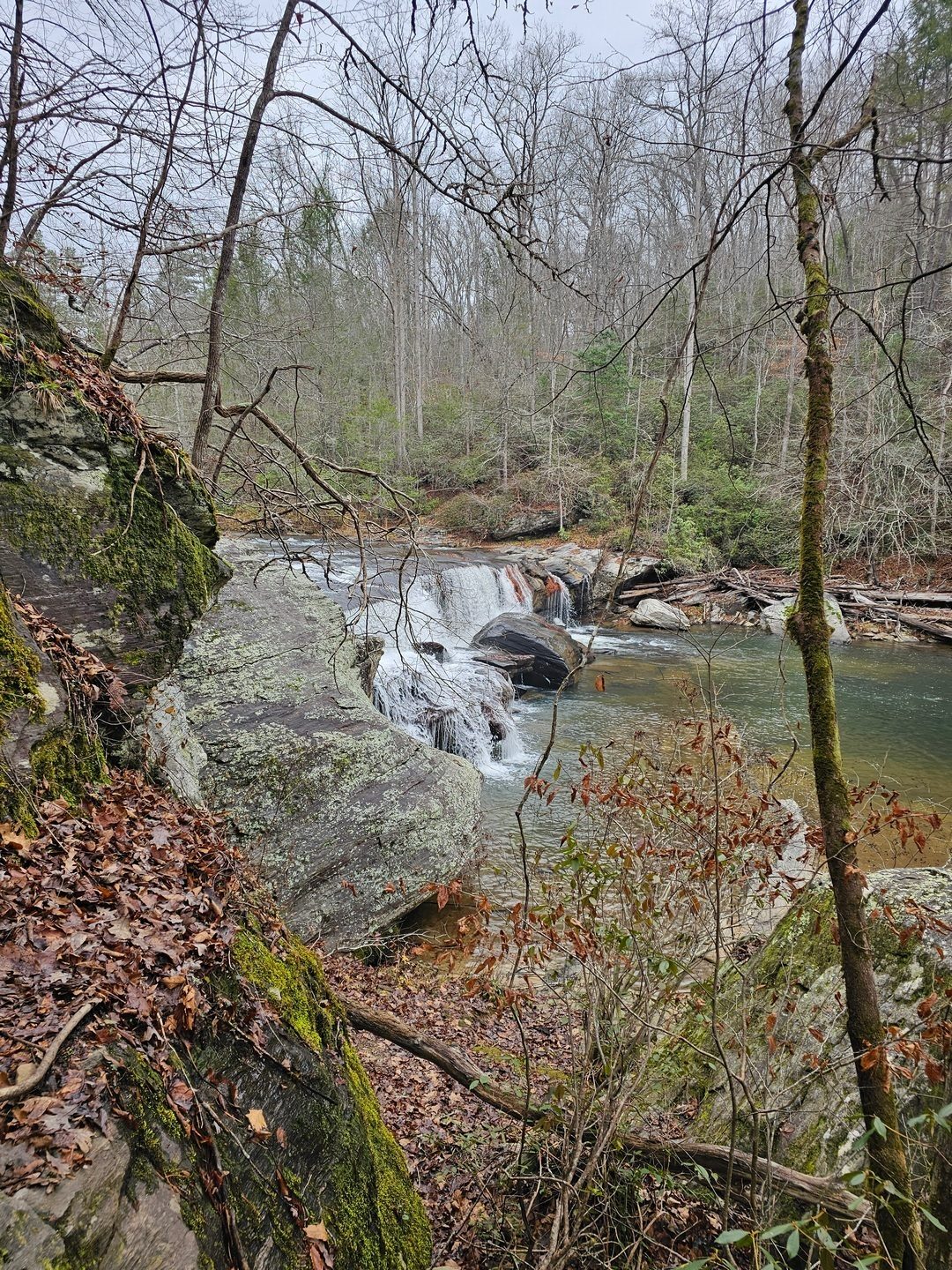 A first view of the falls from the trail.