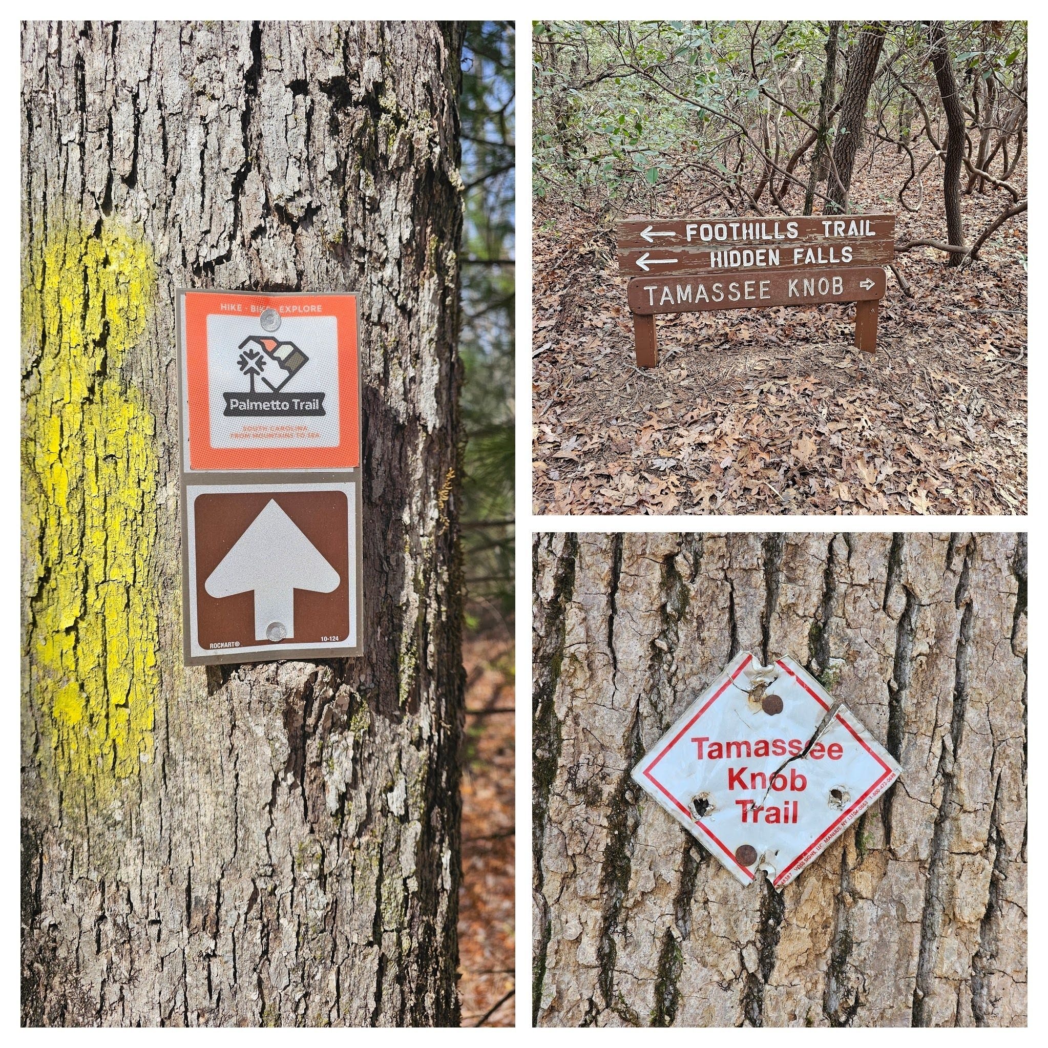 Good trail signage along the way.