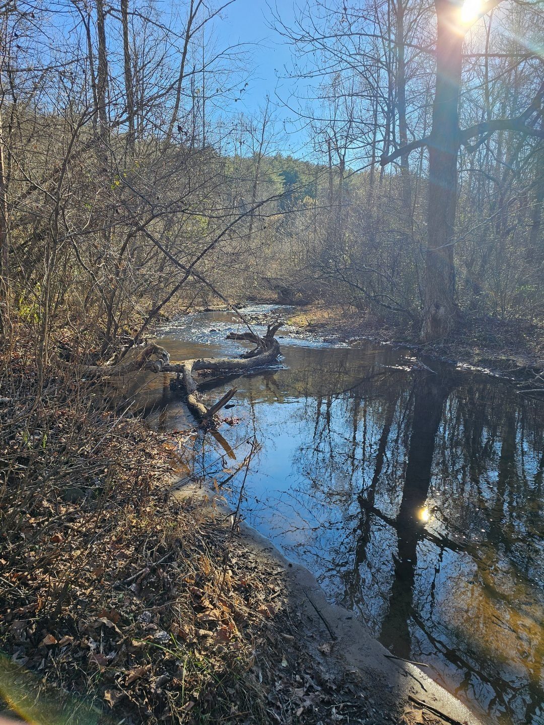 A last view of Smith Creek as we head home.