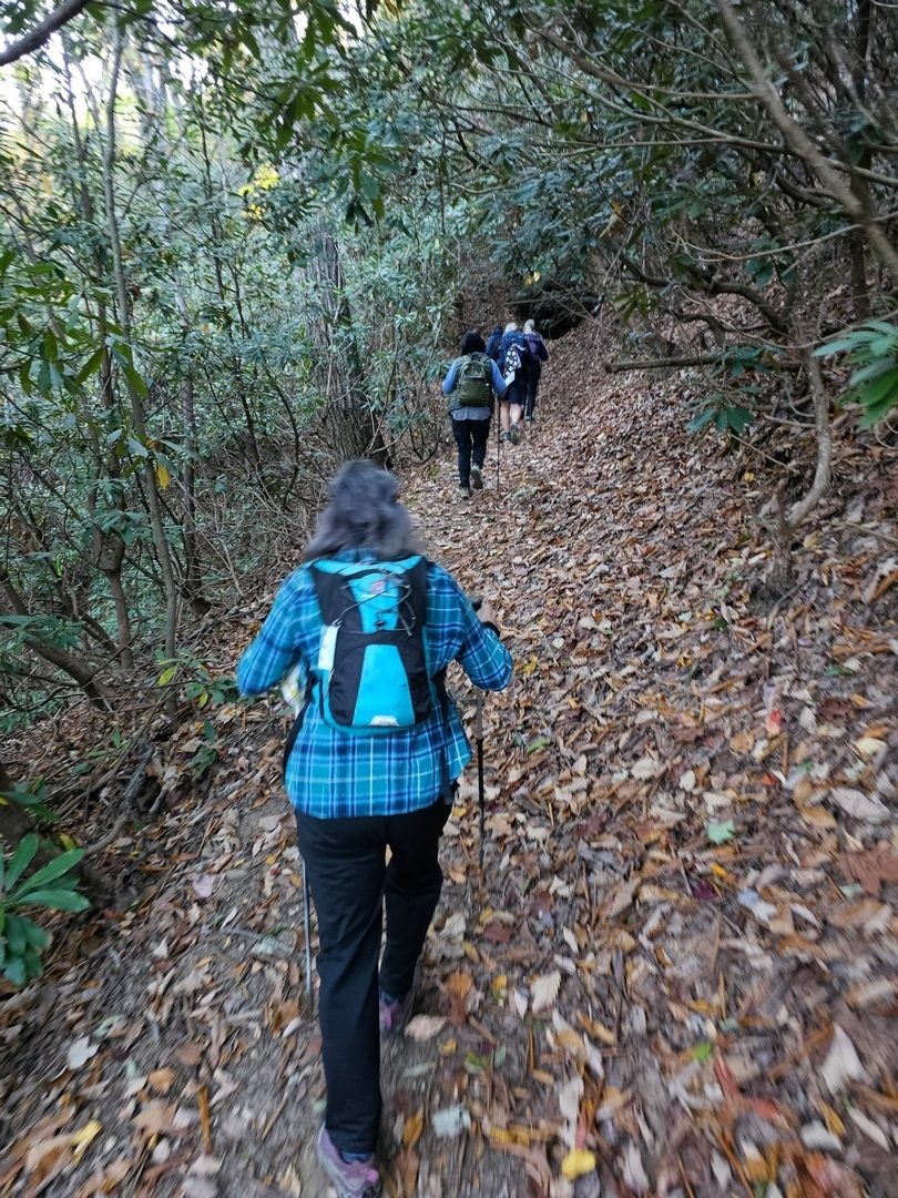 While it's uphill for the first 1.8 miles to Pinnacle Knob, the slope is not very steep except for a few short sections.