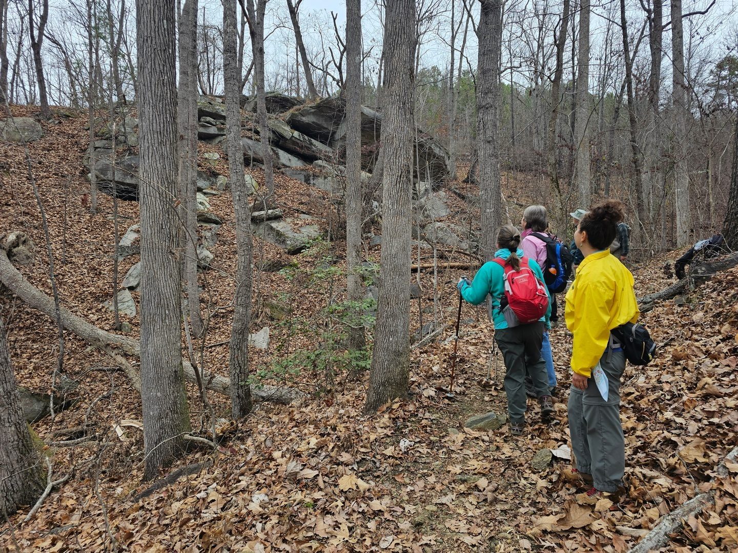 Taking a look at a familiar white granite outcrop.  It's larger than this photo depicts.