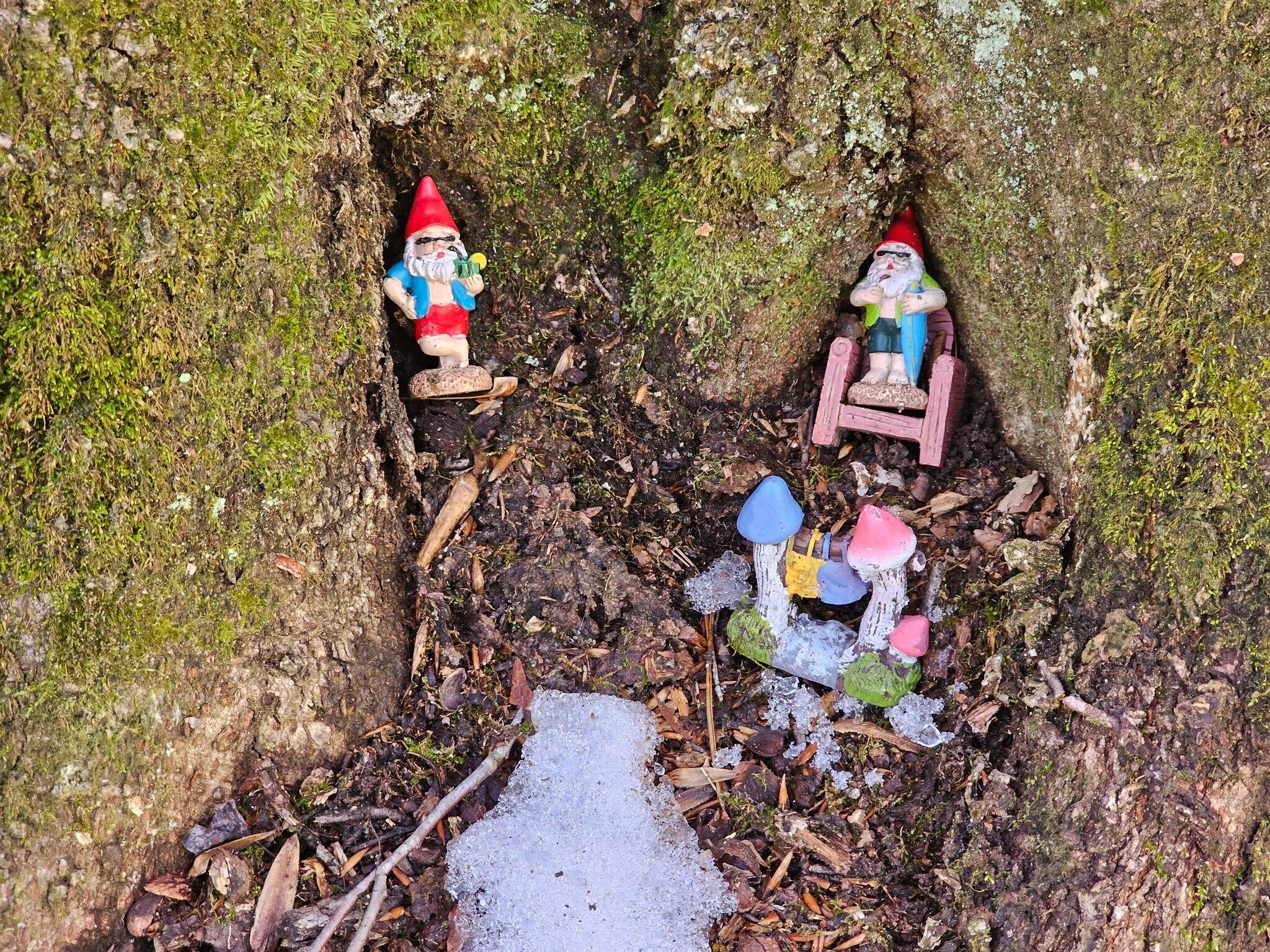 Our gnome friends are still here.