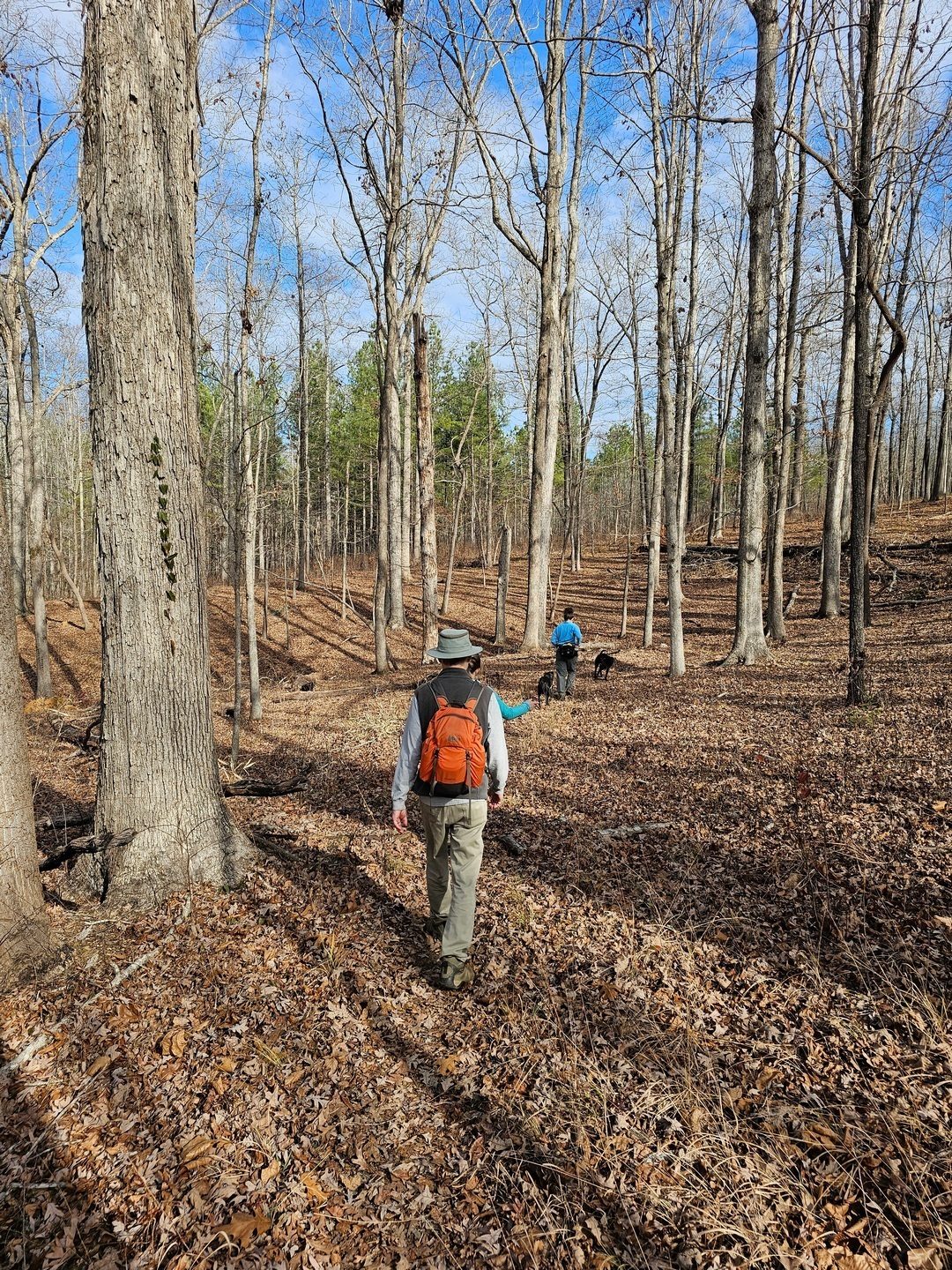 Heading back on Latham Cemetery Trail.  It turned into a warm sunny day.