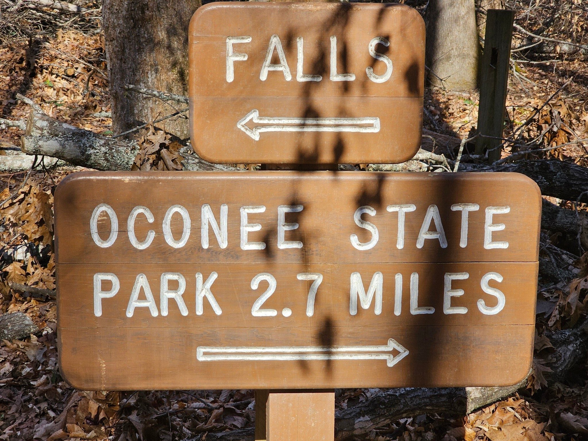 We went both ways today, but not all the way to Oconee State Park, just a mile up the trail.