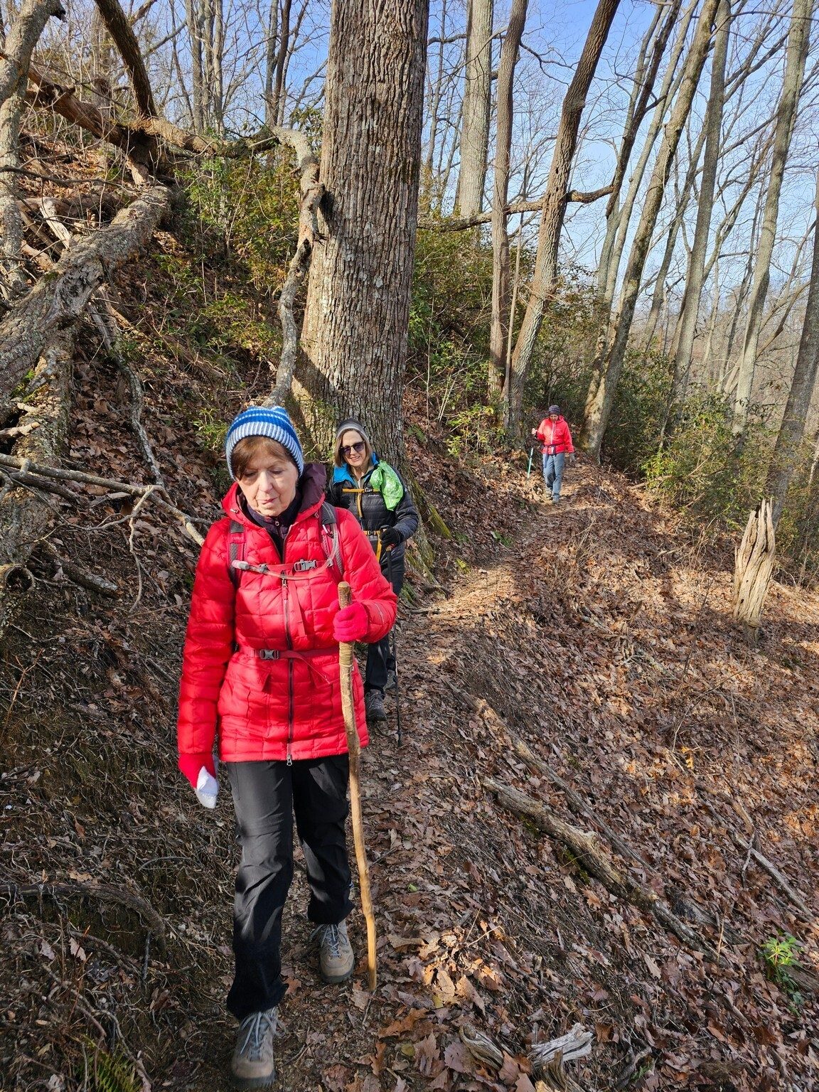 There are a few short, but narrow, trail sections along a steep ledge as we proceeded up Tamassee Knob.