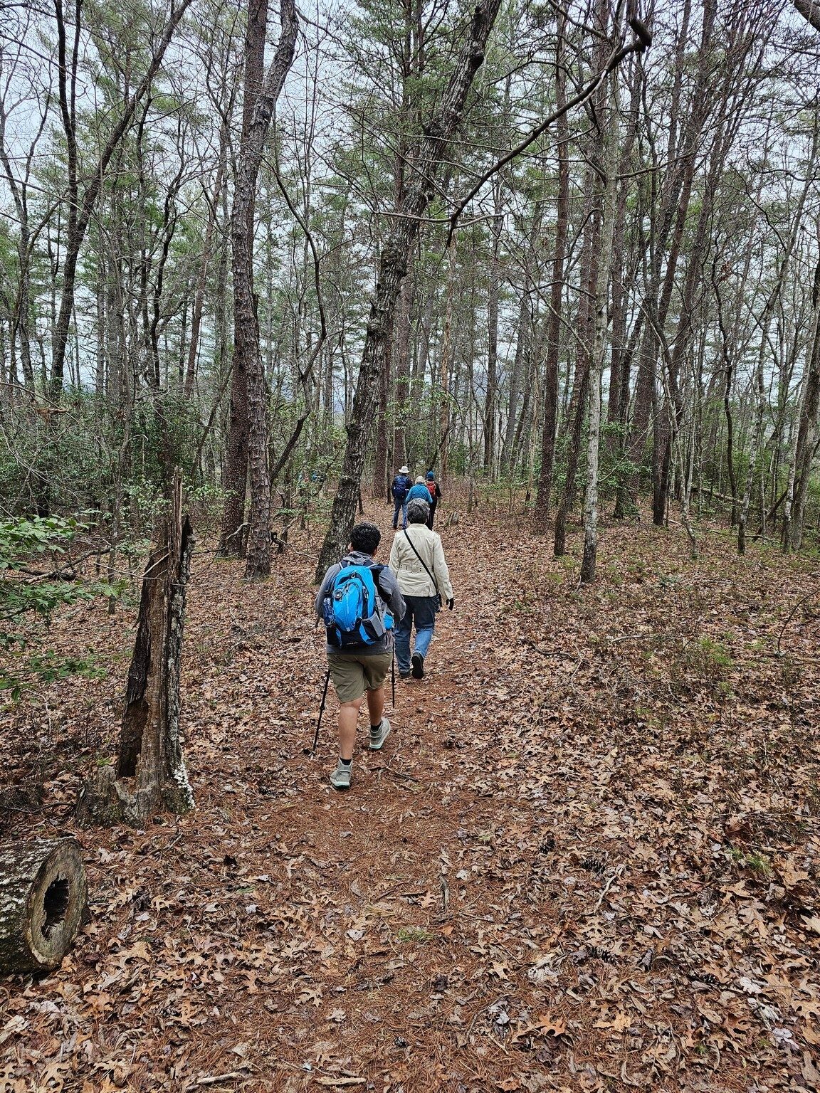 A good trail today.