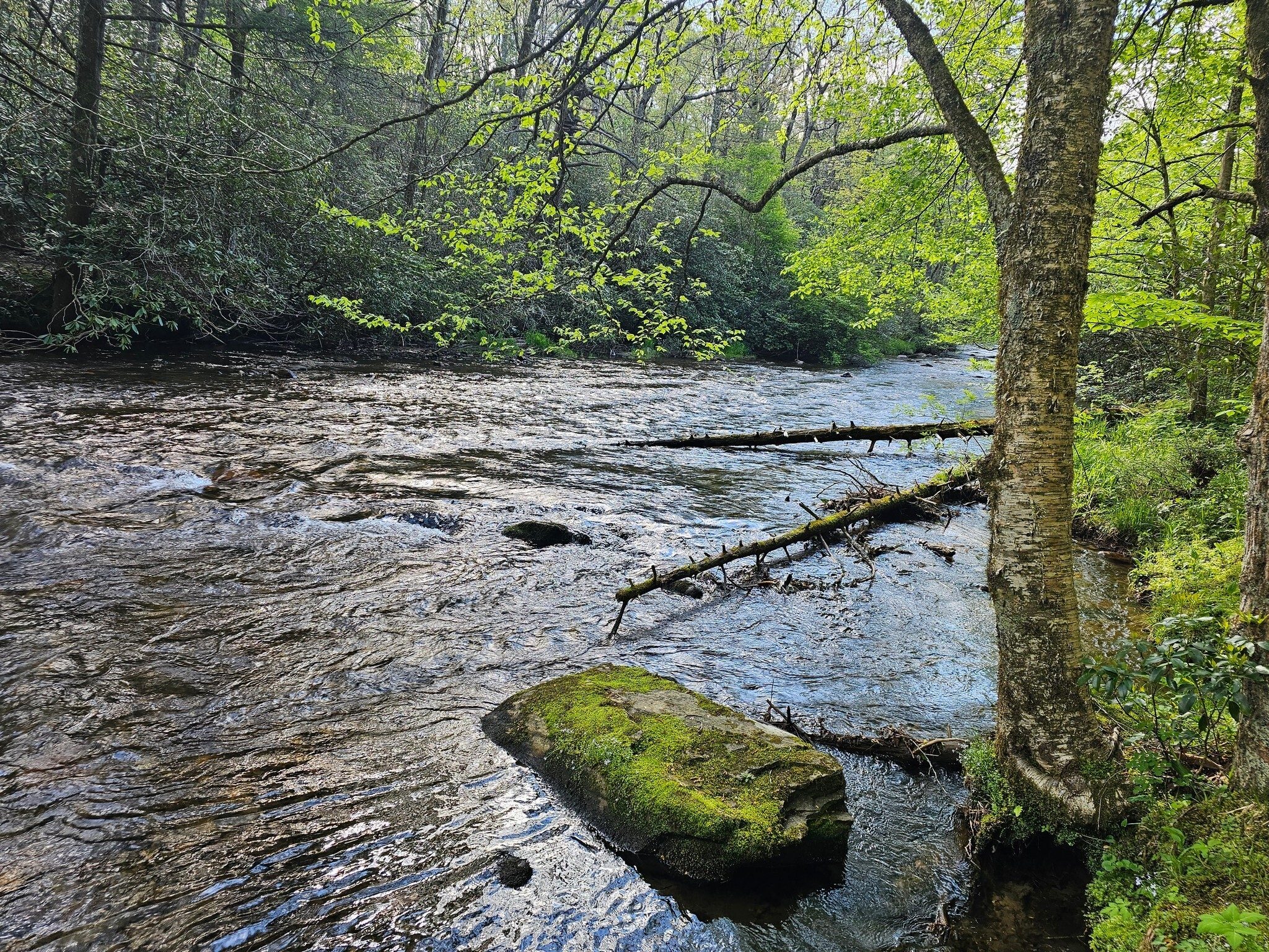 The first part of the hike takes us along the beautiful Nantahala River