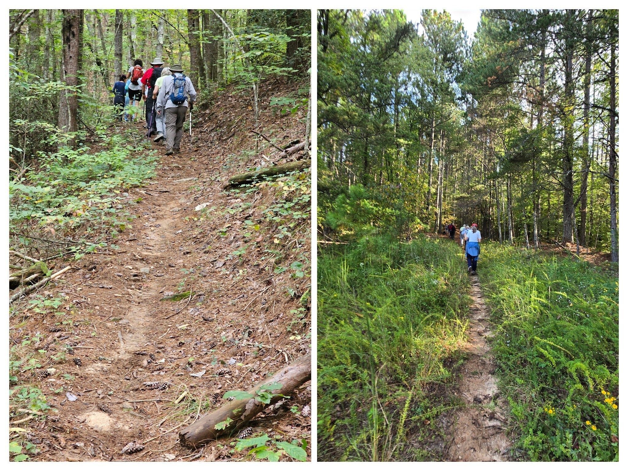 It's a mostly shallow uphill walk for the first half of the hike on a really nice trail.
