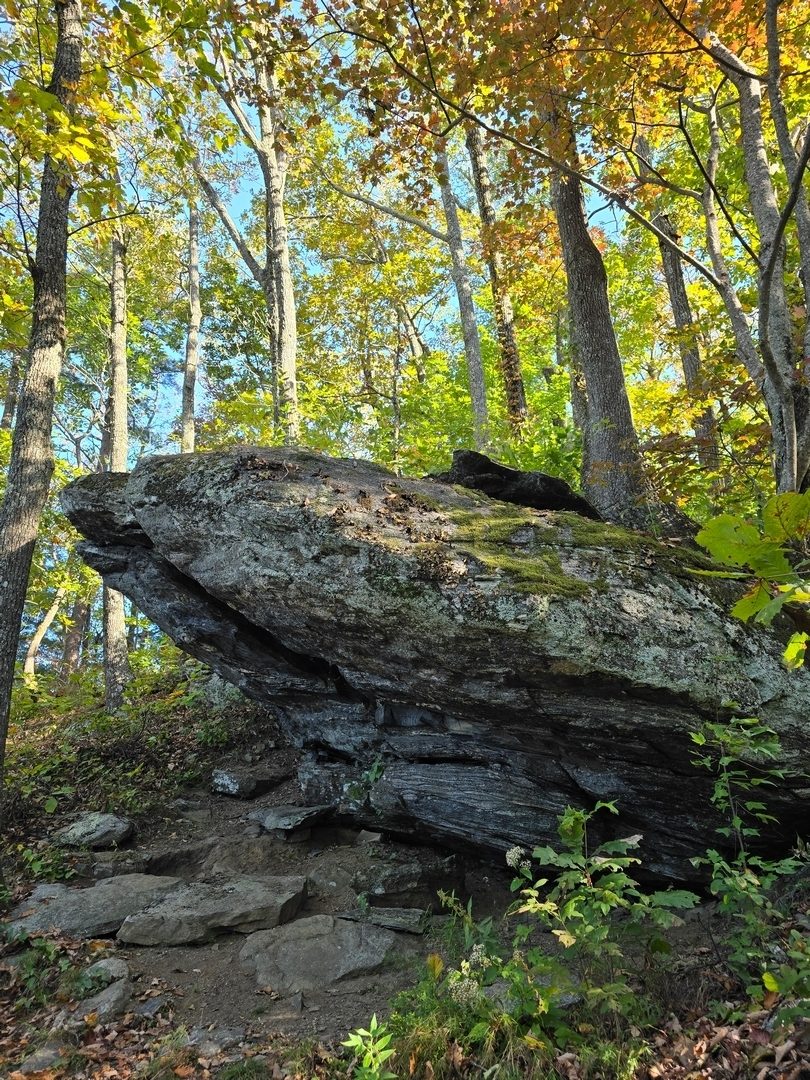 When I first saw this photo by Jane Voss, I thought Toby was waiting for us on top of this overhanging boulder.