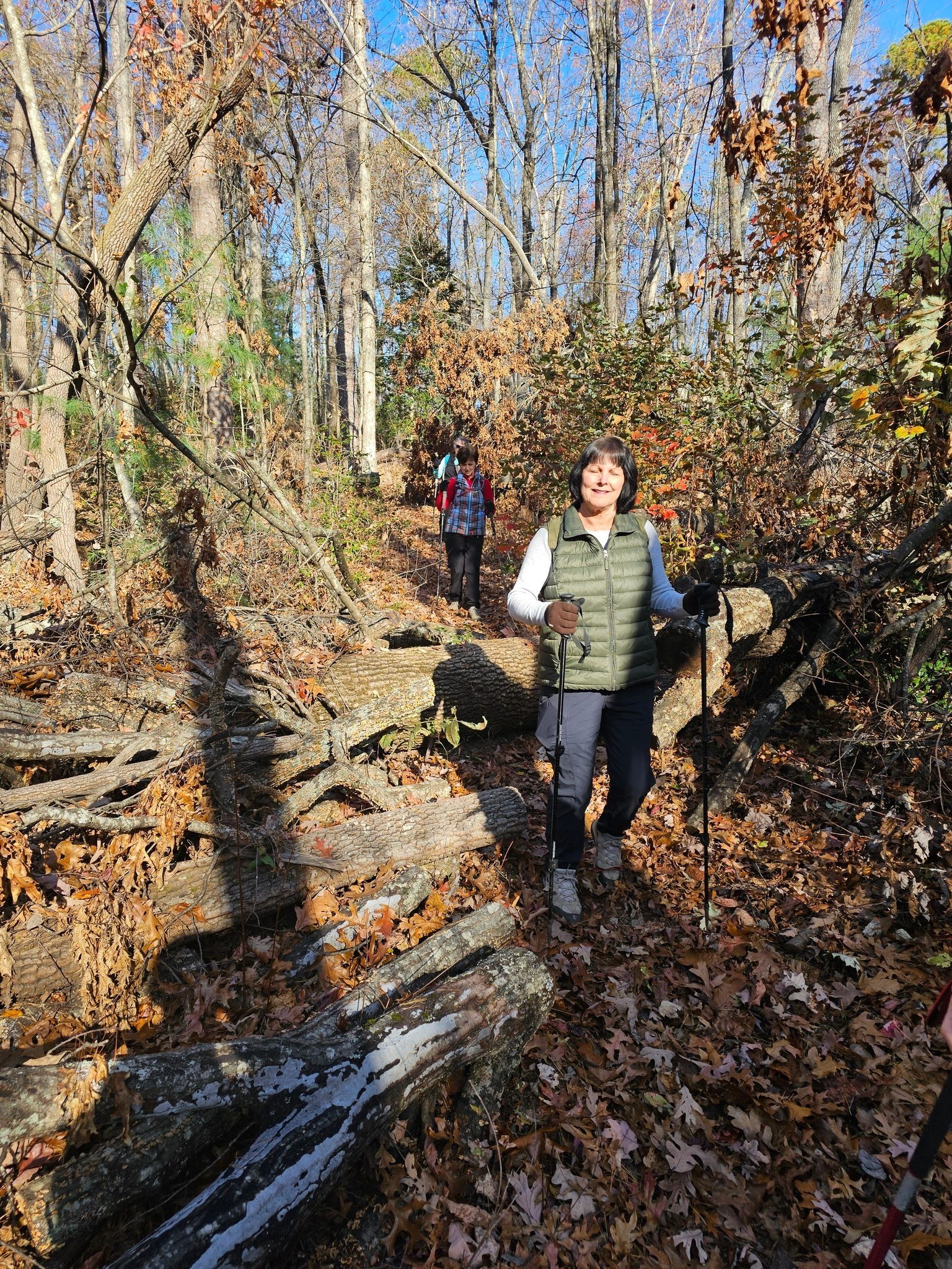 Blowdowns from the start on the approach trail.
